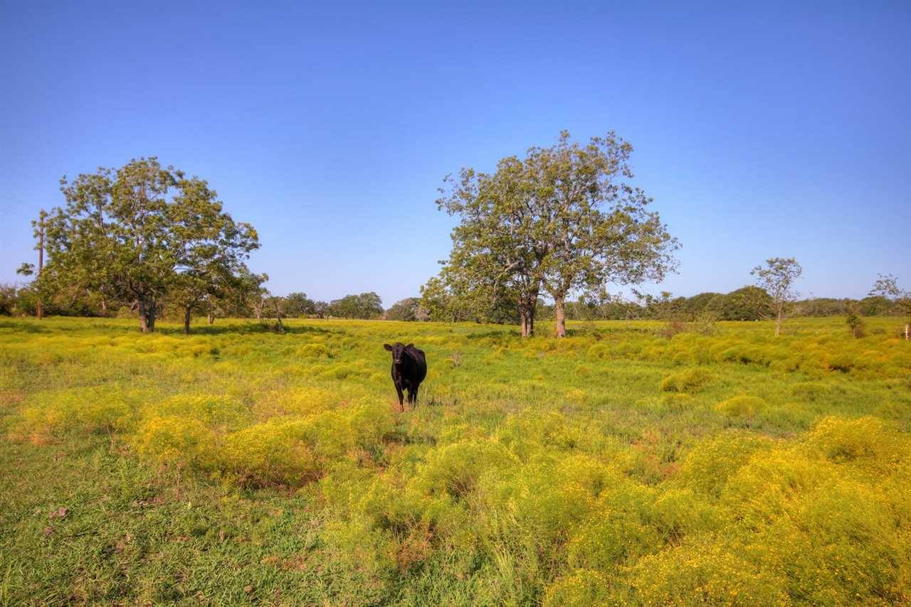 Liberty Hill, TX 78642,1580 CR 287