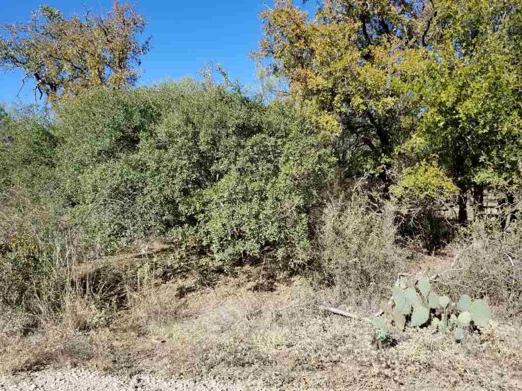 Granite Shoals, TX 78654,lot 116 Hill Wood