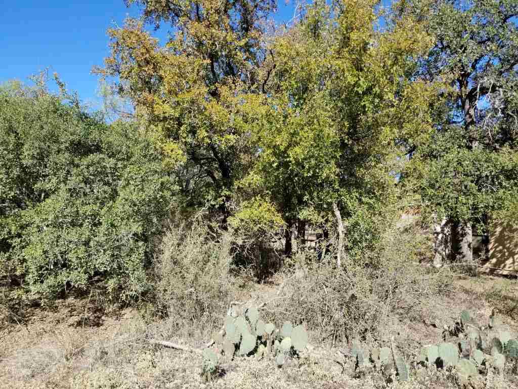 Granite Shoals, TX 78654,lot 116 Hill Wood