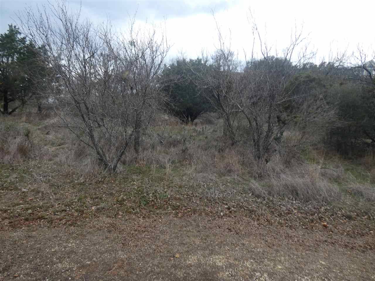 Buchanan Dam, TX 78609,Lot 94 Calle Cortez