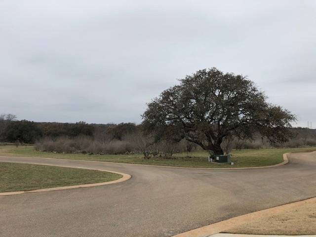 Horseshoe Bay, TX 78657,Lt 16 Orange Plume