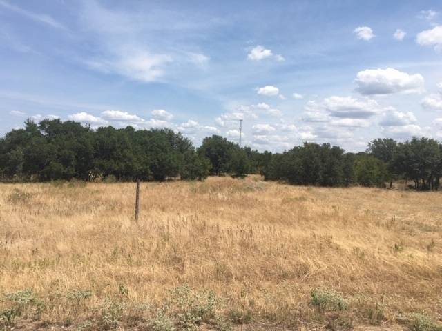 Buchanan Dam, TX 78609-0000,lot 18 Lehne Loop