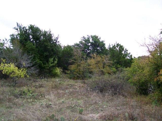 Buchanan Dam, TX 78609-0000,lot 18 Lehne Loop