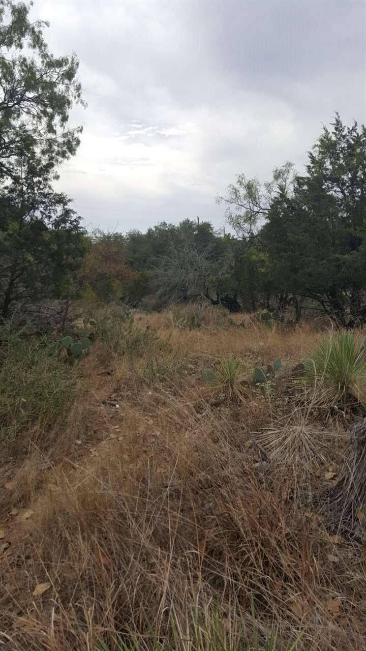 Granite Shoals, TX 78654,TBD W Newcastle DR