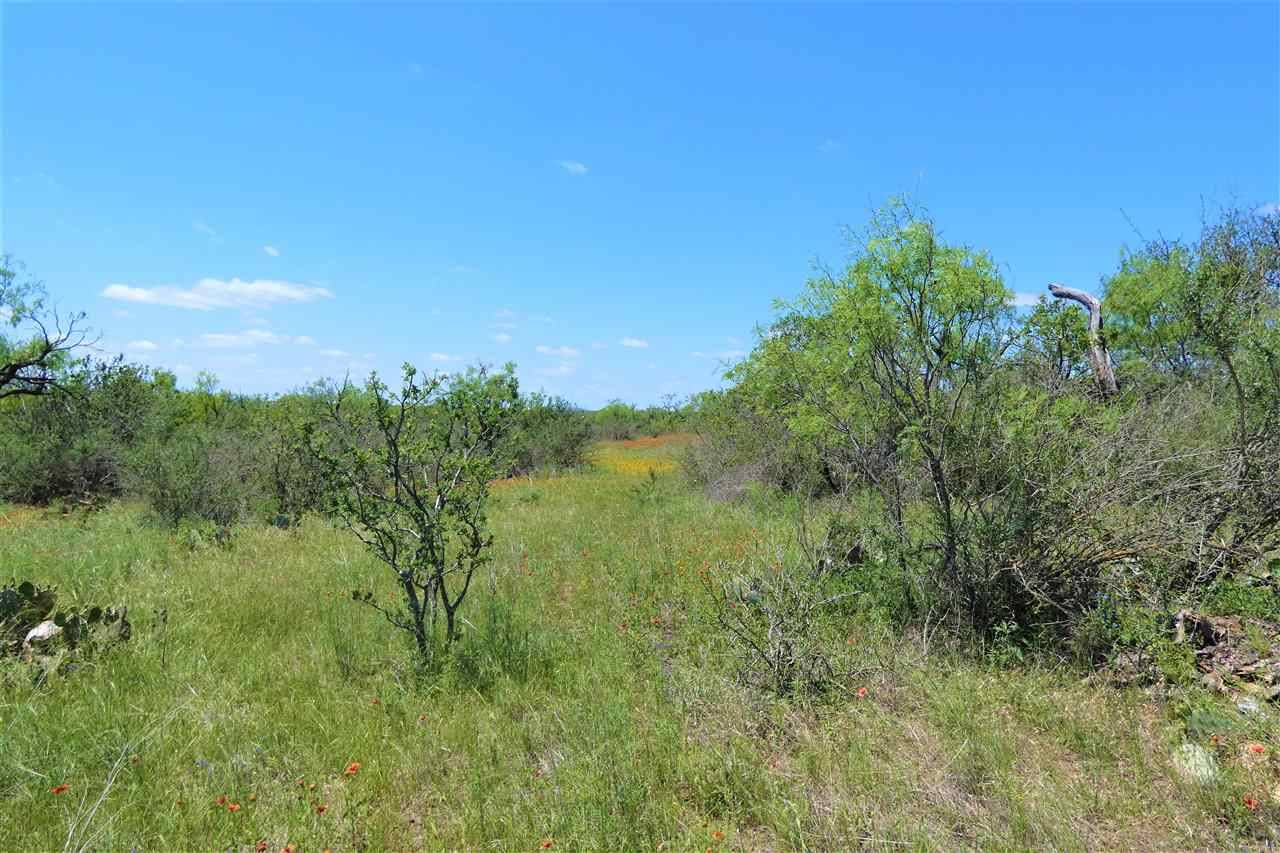 Llano, TX 78643,00 W Rio Llano Drive