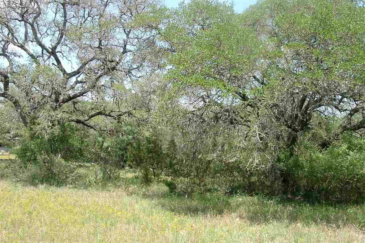 Spicewood, TX 78669,Lot 221 Chantilly Lane