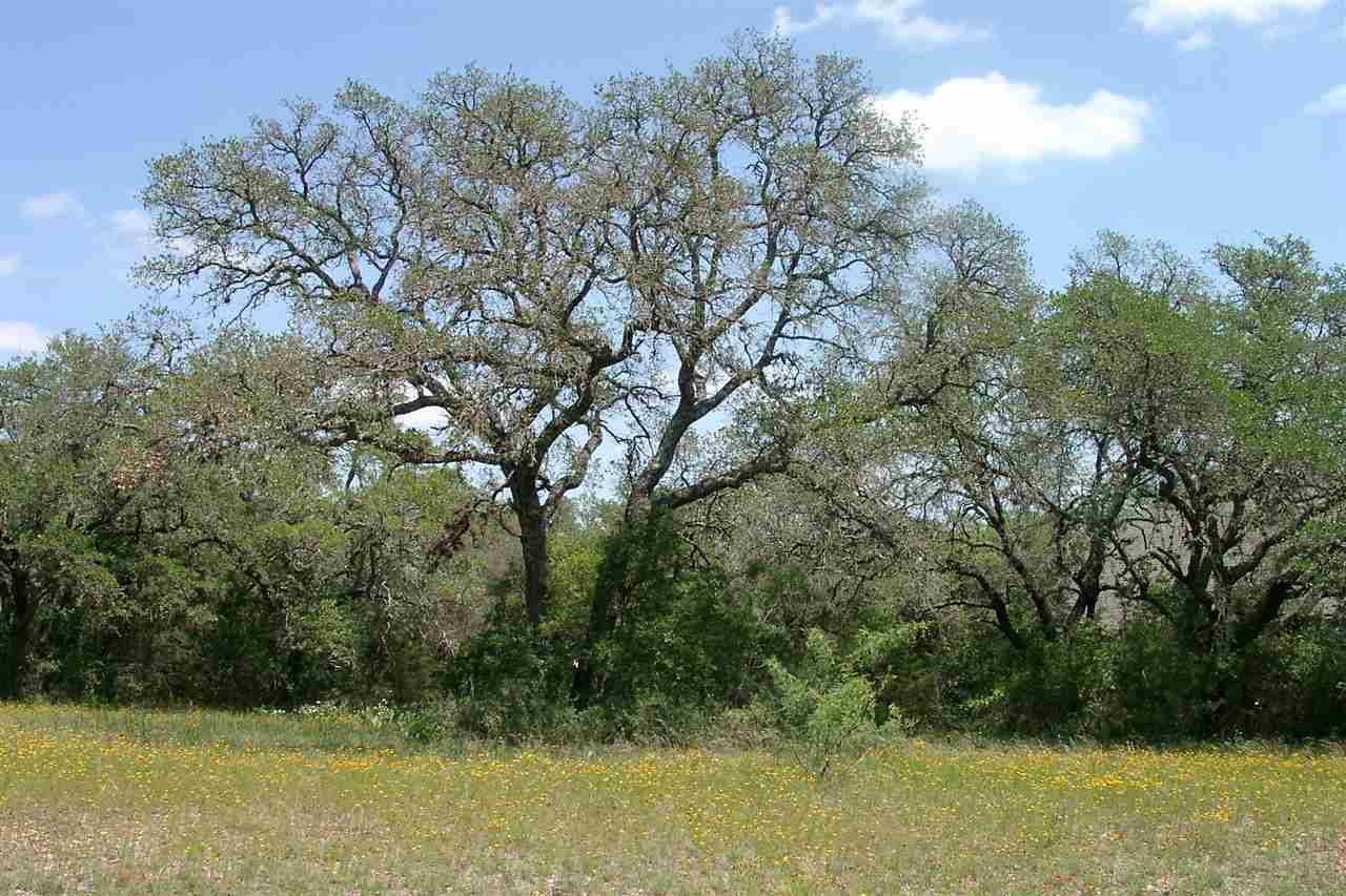 Spicewood, TX 78669,Lot 221 Chantilly Lane