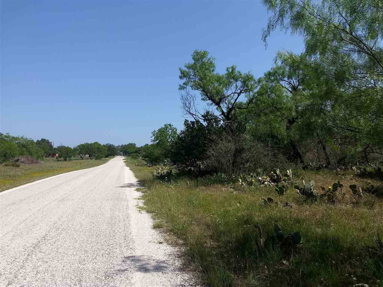 Kingsland, TX 78639,231-232 Cactus TRL