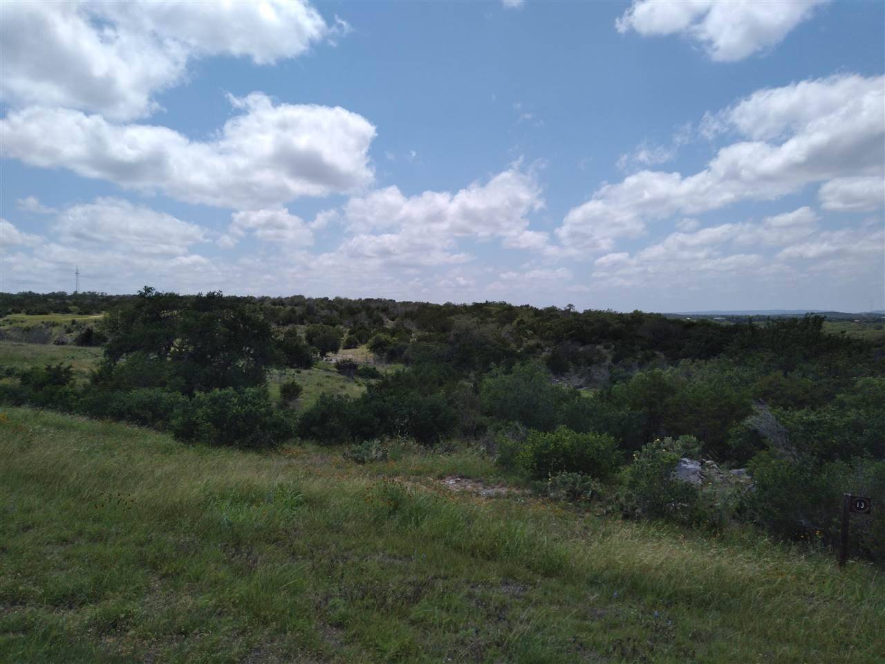 Horseshoe Bay, TX 78657,13 Blazing Star