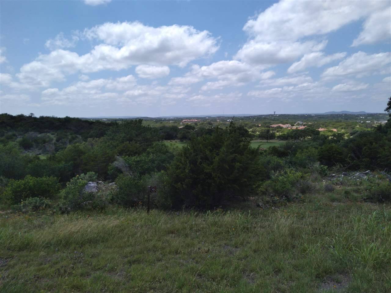 Horseshoe Bay, TX 78657,13 Blazing Star