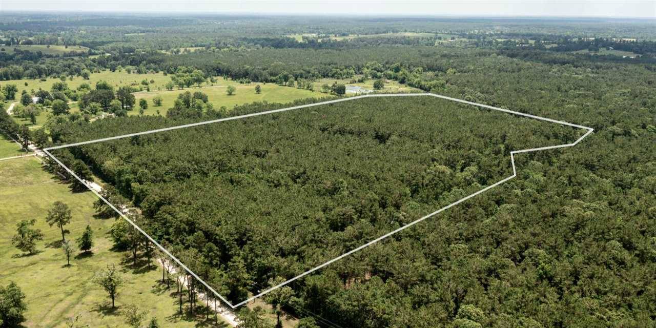 Out Of Area, TX 78545,00 RF King RD