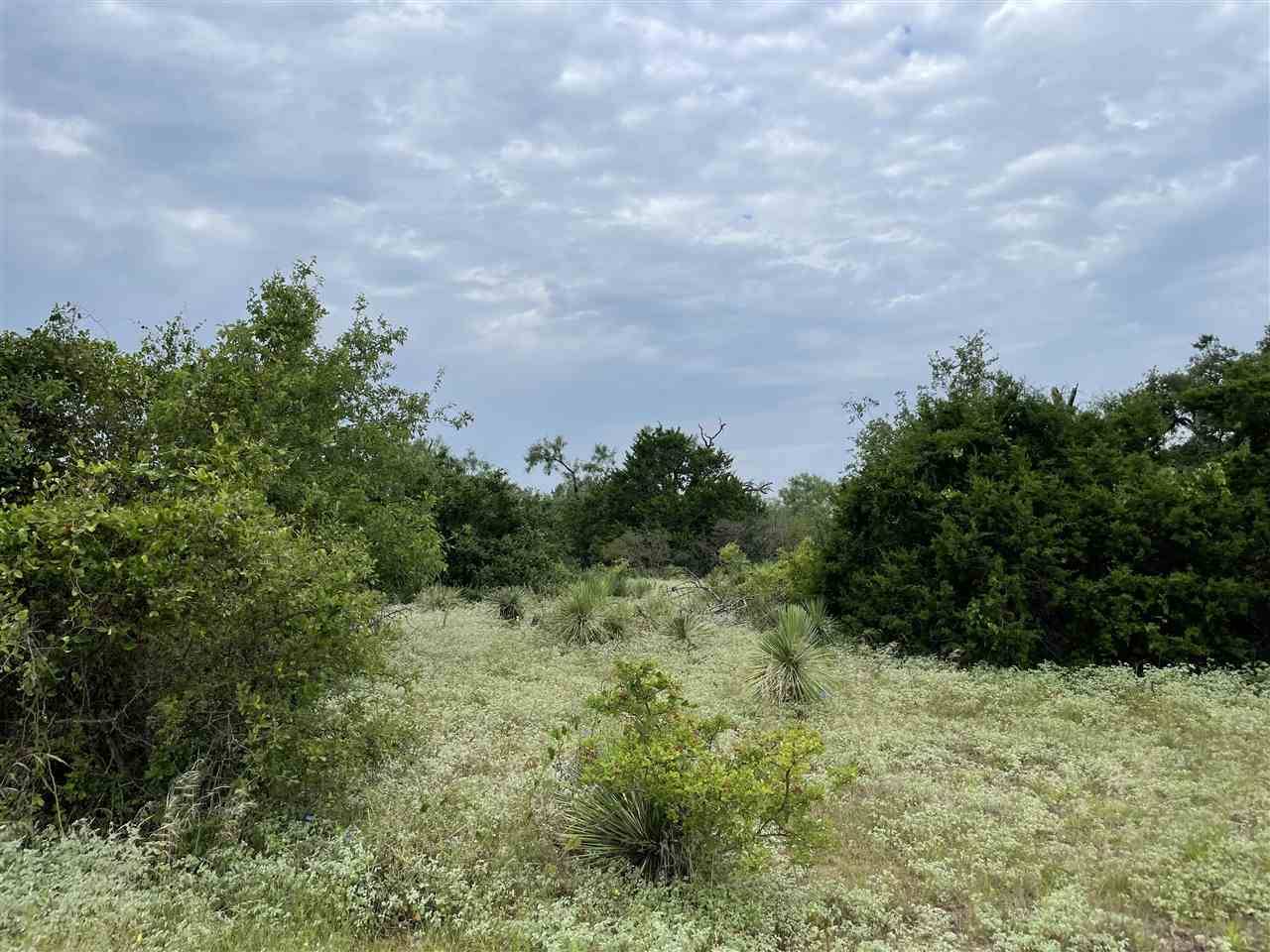 Kingsland, TX 78639,Lot 42-44 Quicksilver ST