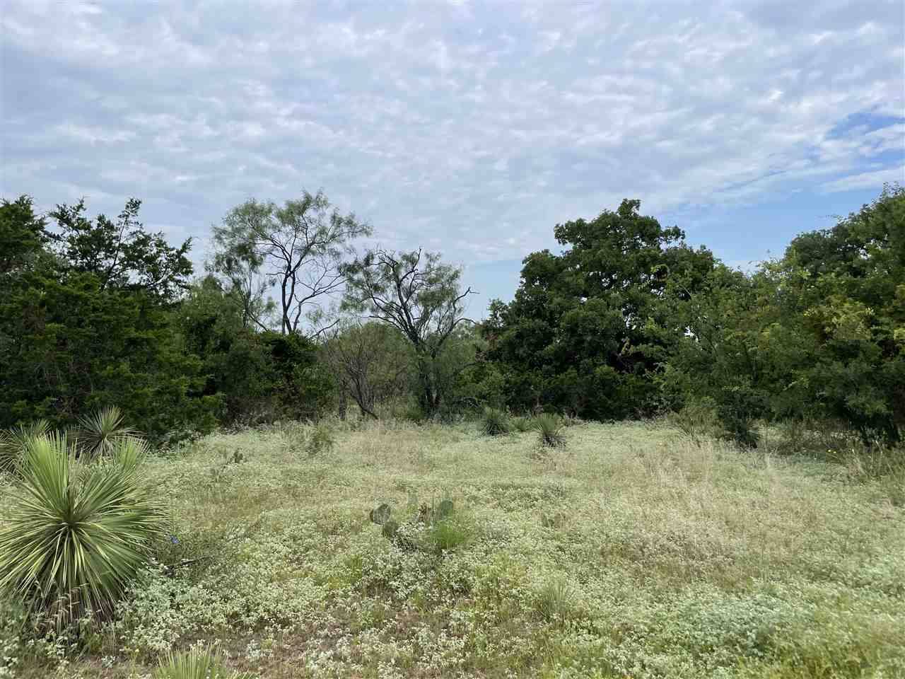 Kingsland, TX 78639,Lot 42-44 Quicksilver ST