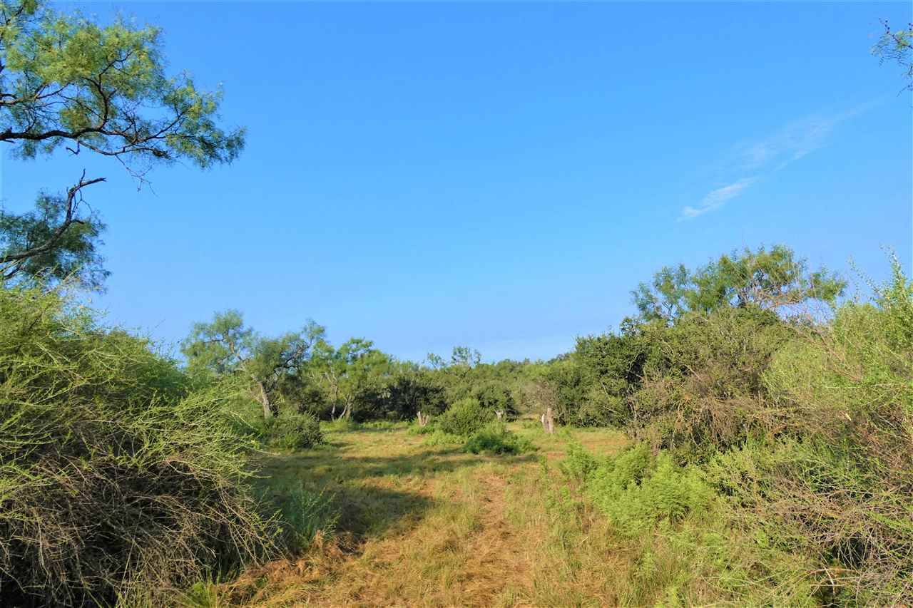 Llano, TX 78643,0000 CR 117