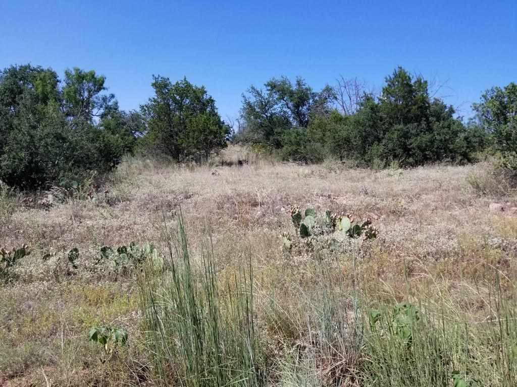 Kingsland, TX 78639,lots 154 & 125 Granite DR