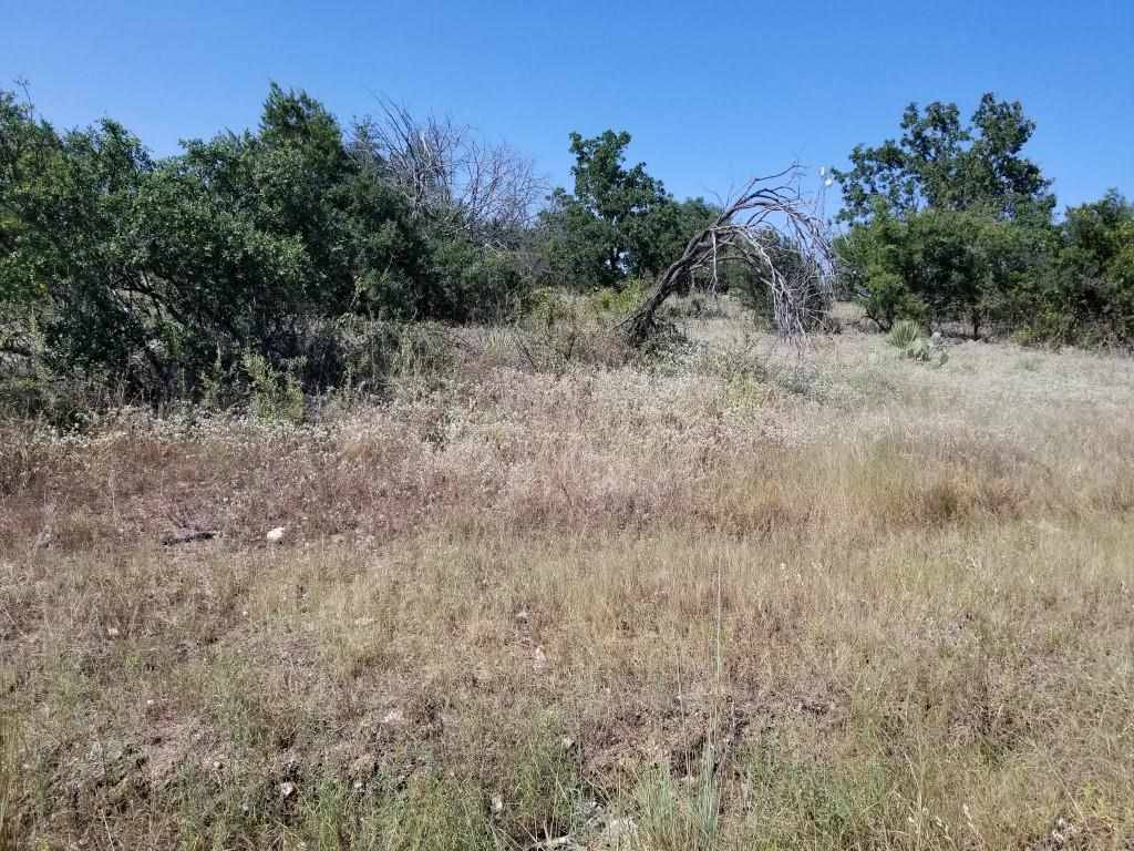 Kingsland, TX 78639,lots 154 & 125 Granite DR