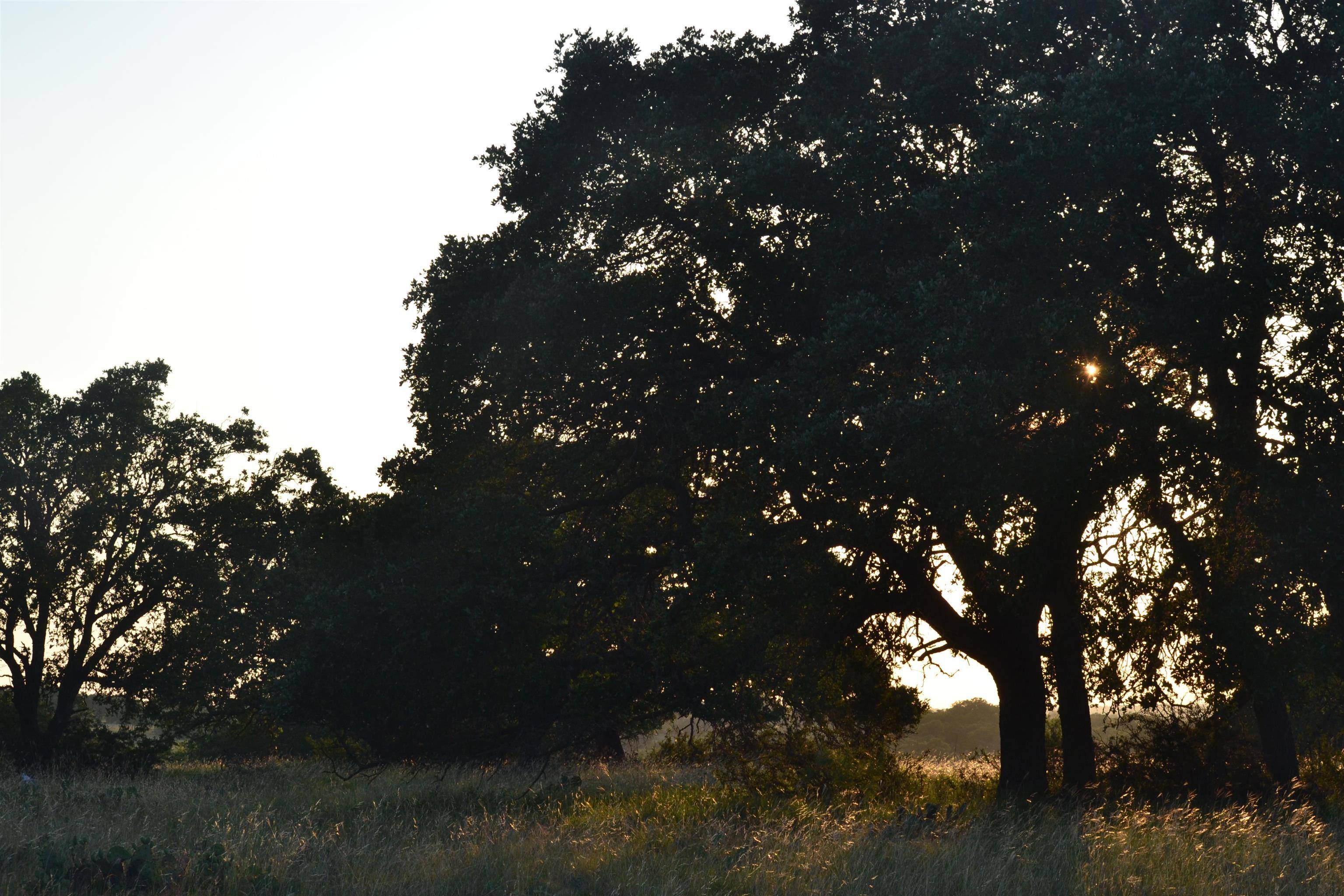 Out Of Area, TX 78631,TBD HWY 290