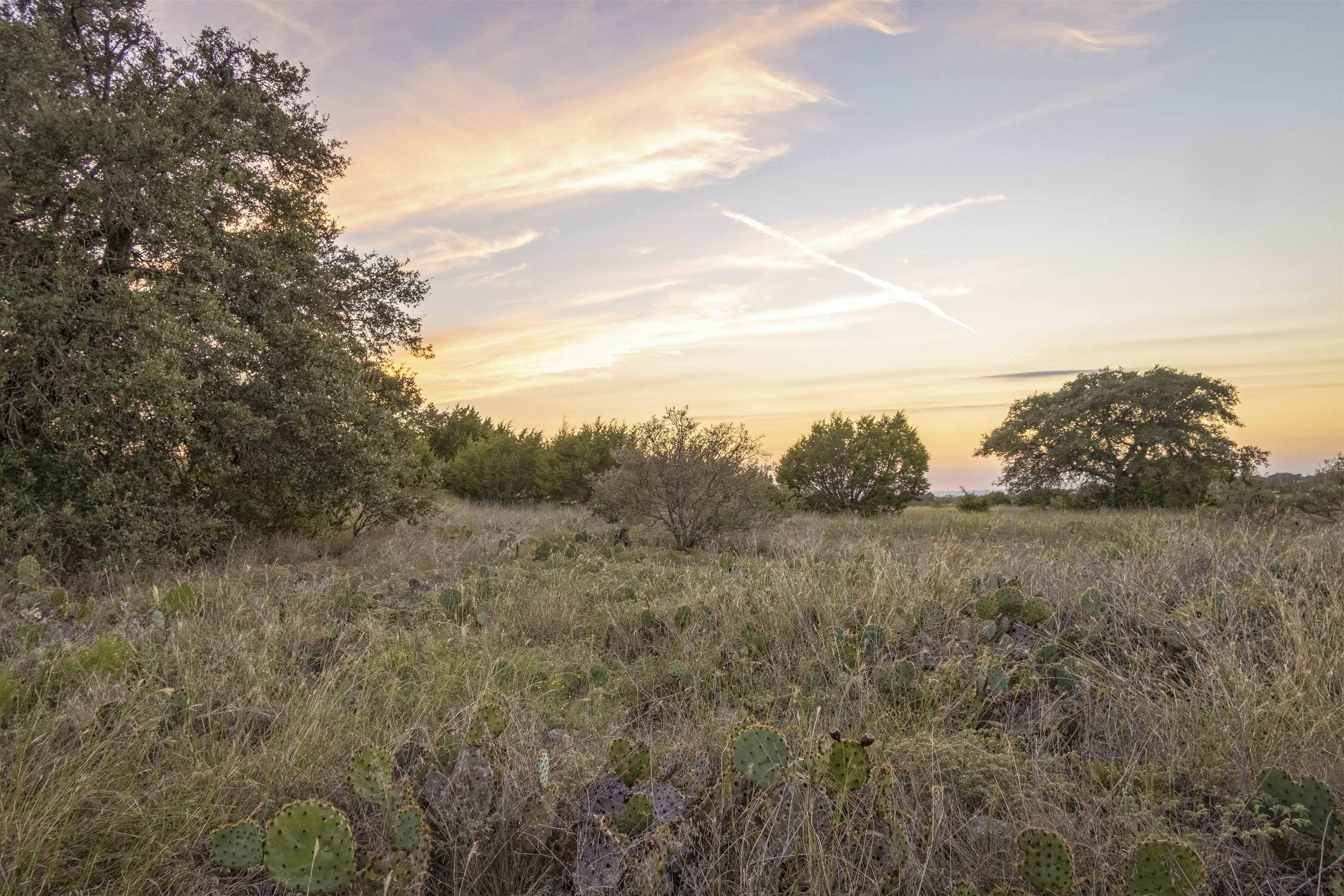 Bertram, TX 78605,Lot 69 Three Creeks