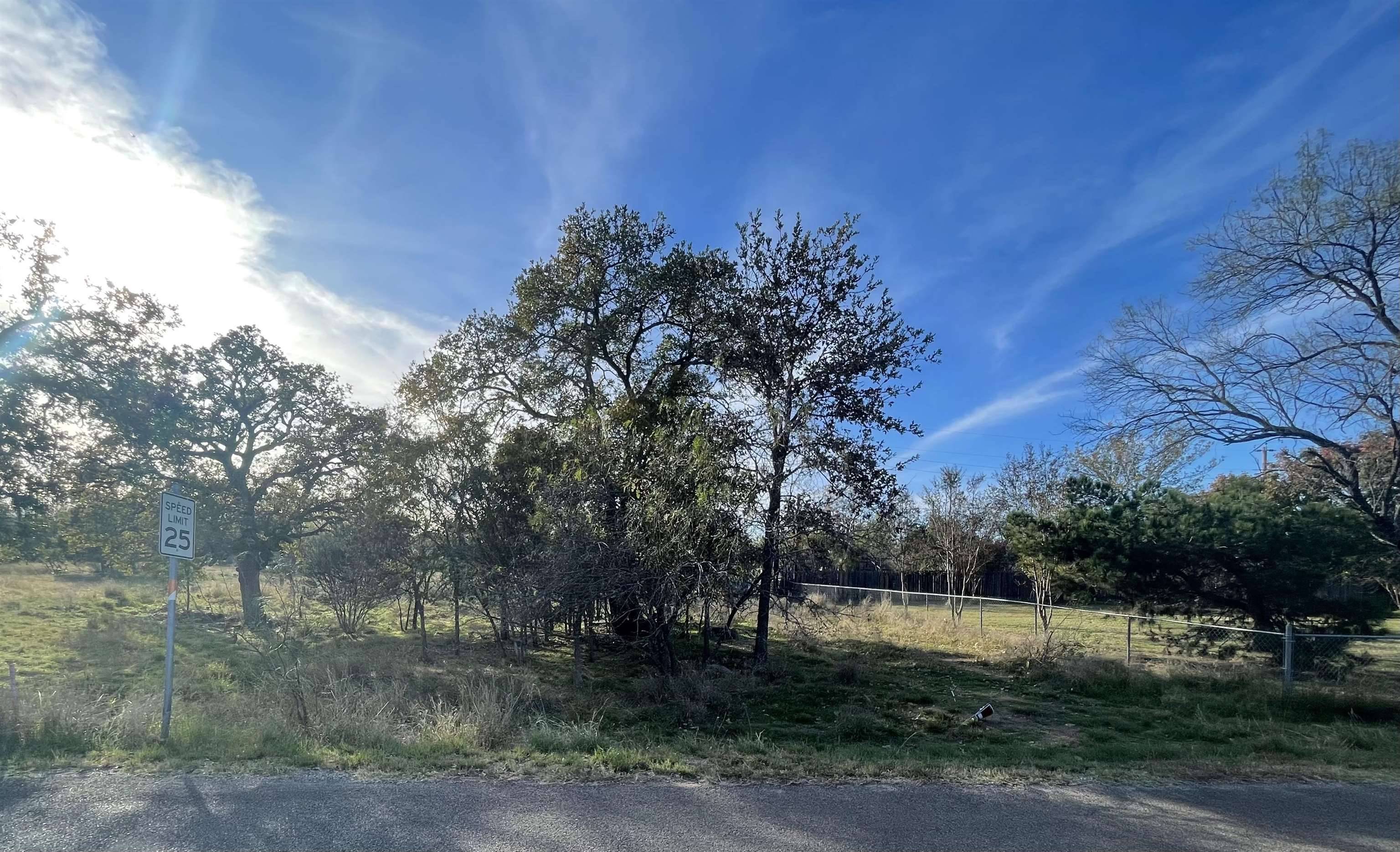 Cottonwood Shores, TX 78657,Lot 195 Pecan LN