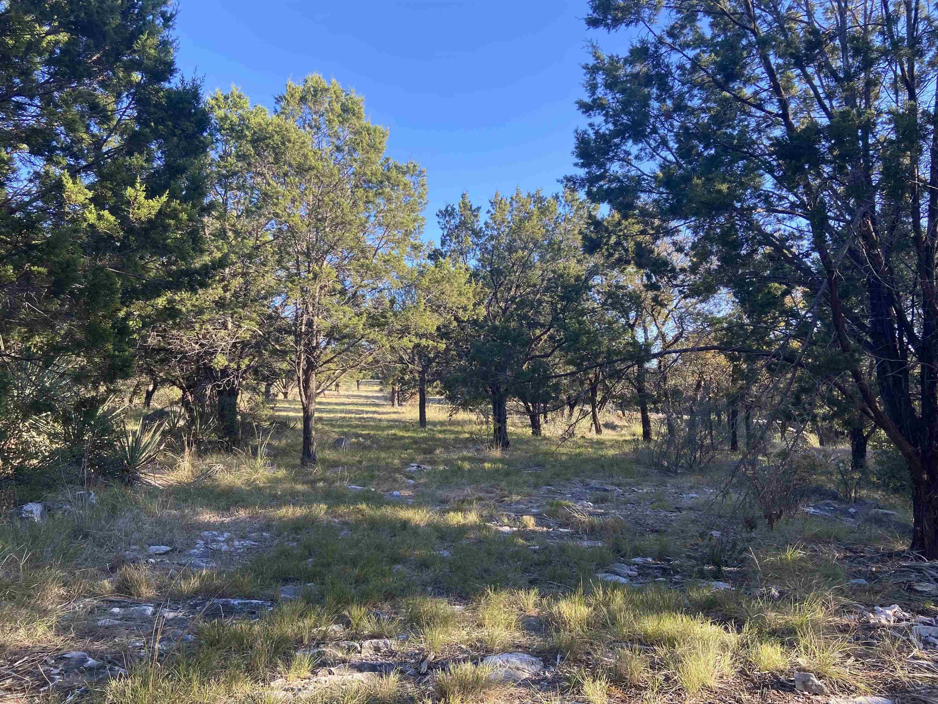 Horseshoe Bay, TX 78657,Lot 22166 Deer Run