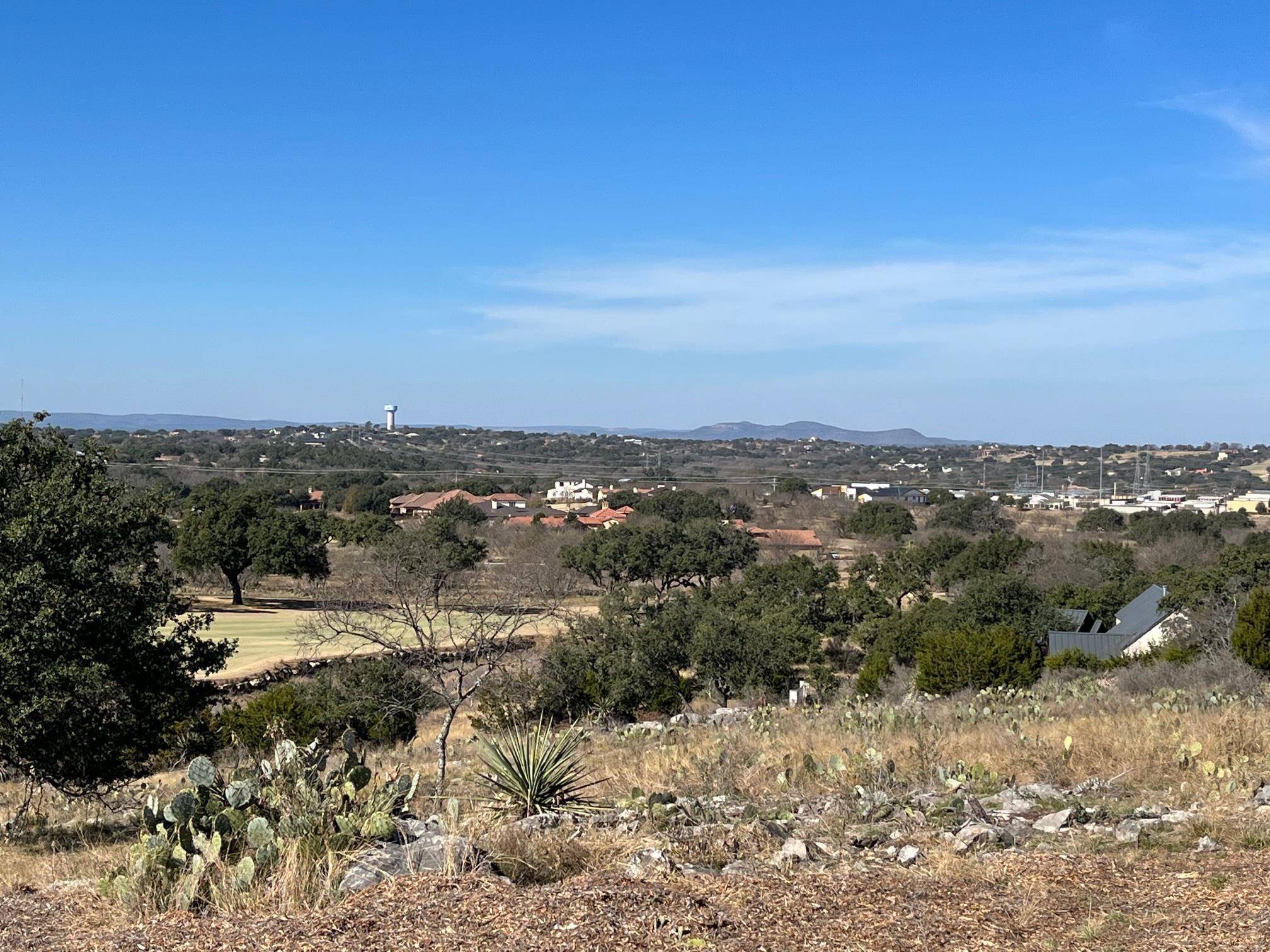 Horseshoe Bay, TX 78657,13 Blazing Star