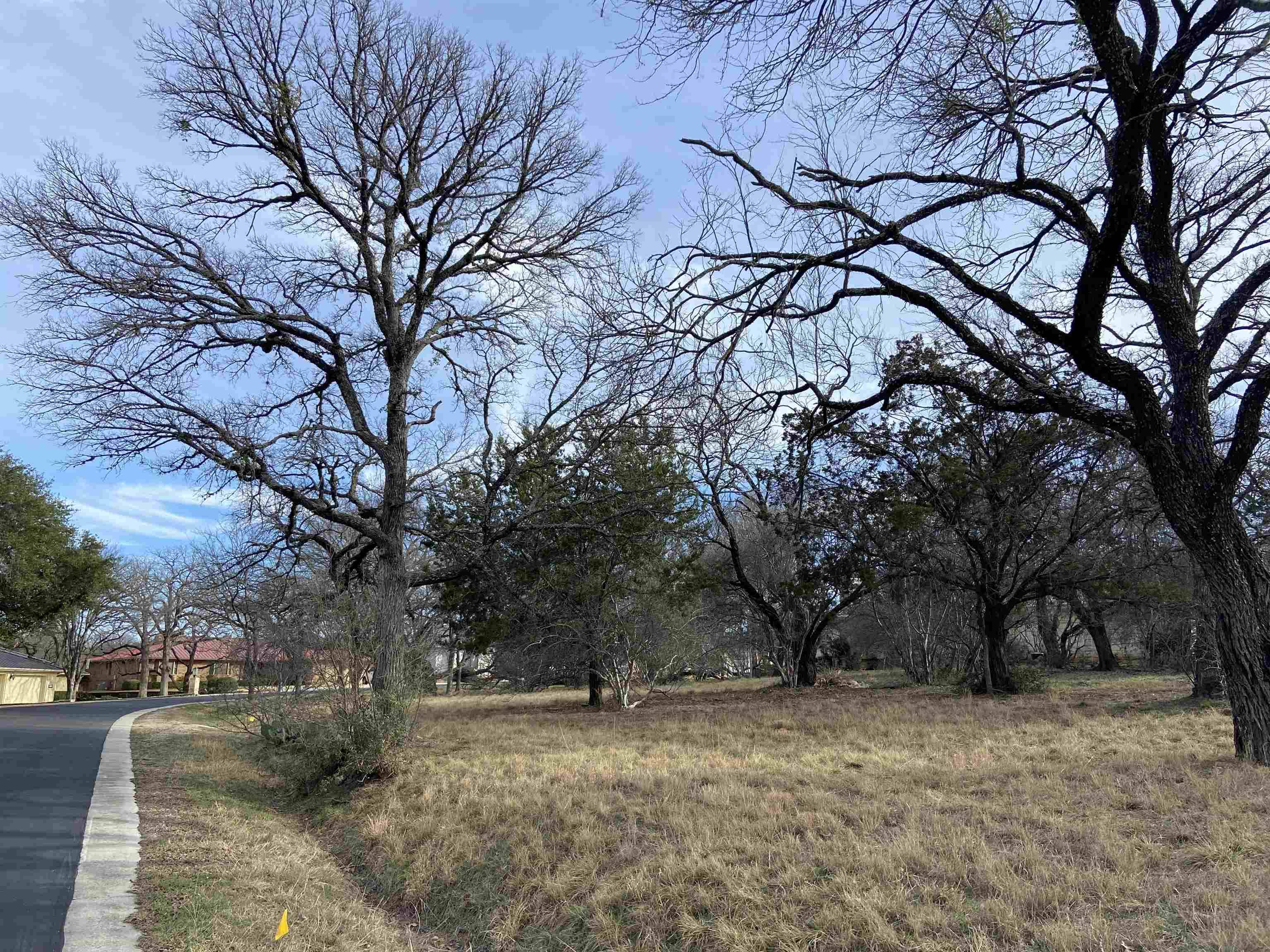 Horseshoe Bay, TX 78657,Lot 8082 Tee Off