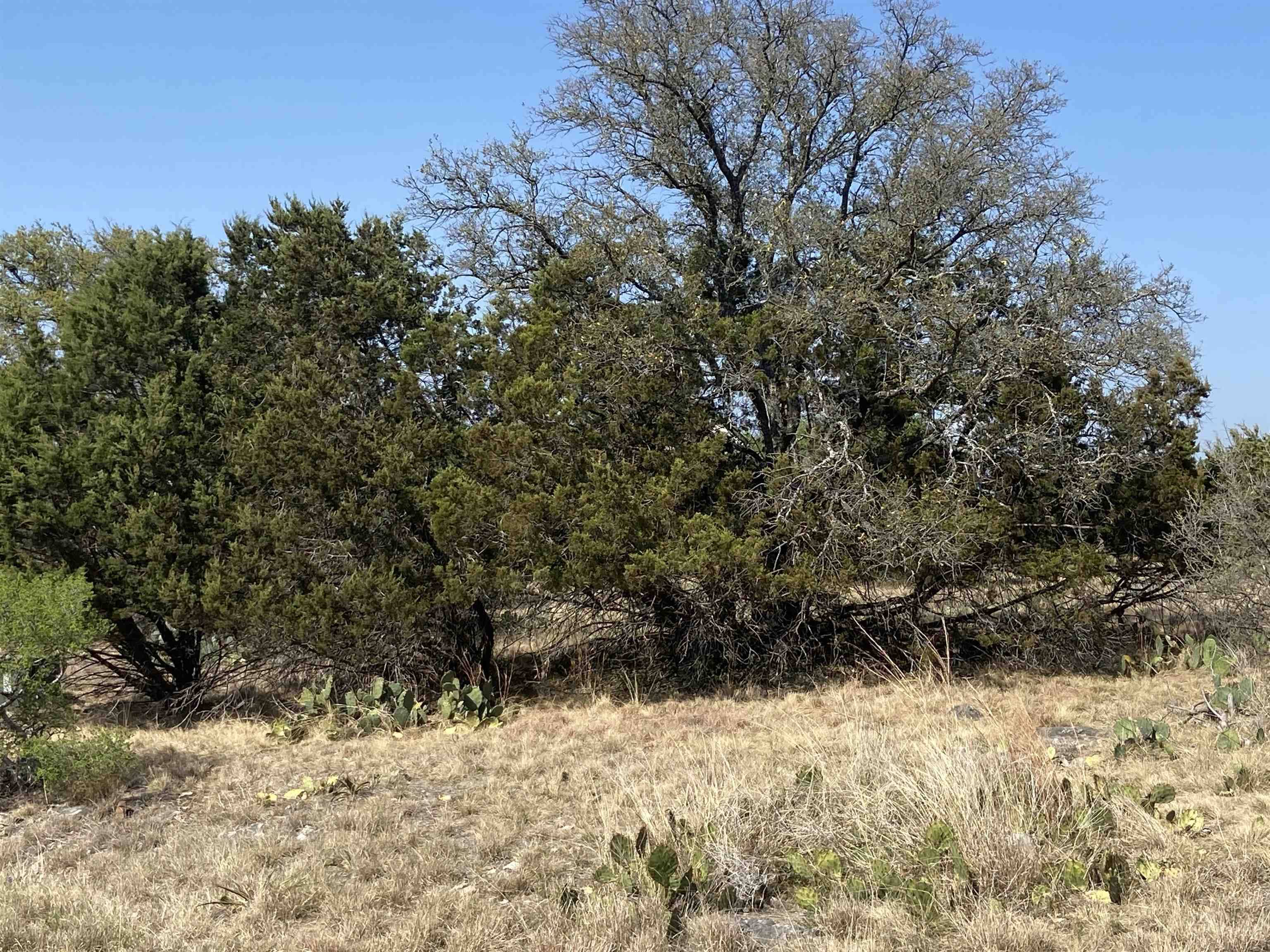 Horseshoe Bay, TX 78657,Lot 22079 Panorama Pass