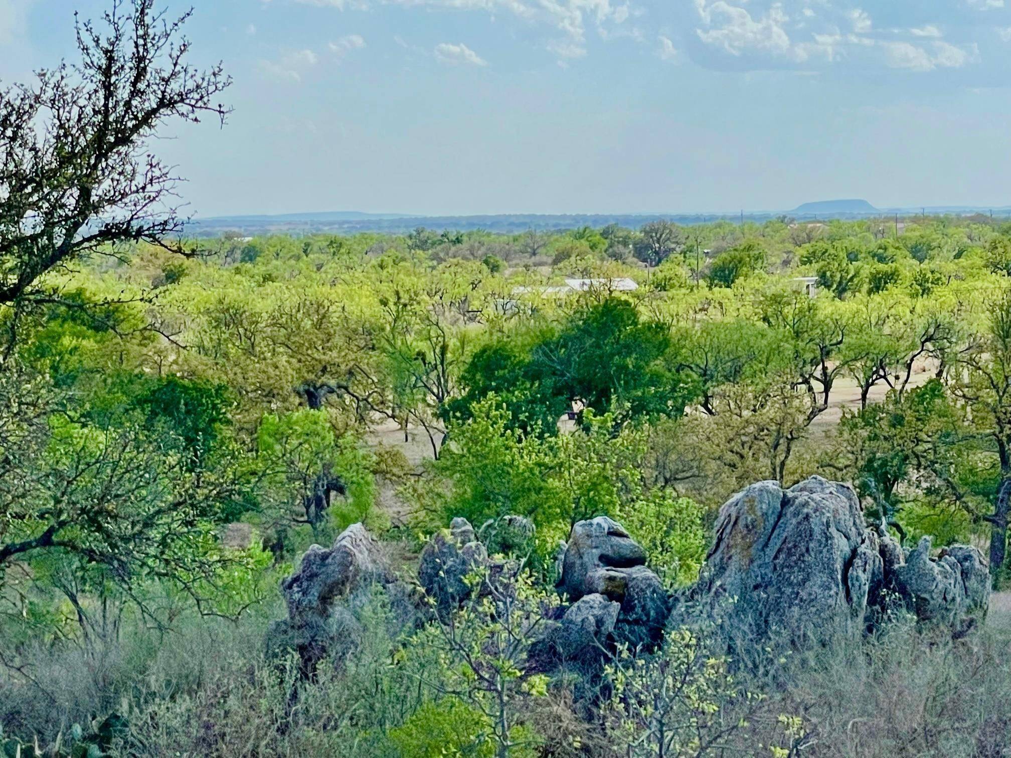 Llano, TX 78643,000 W Rio Llano Drive DR