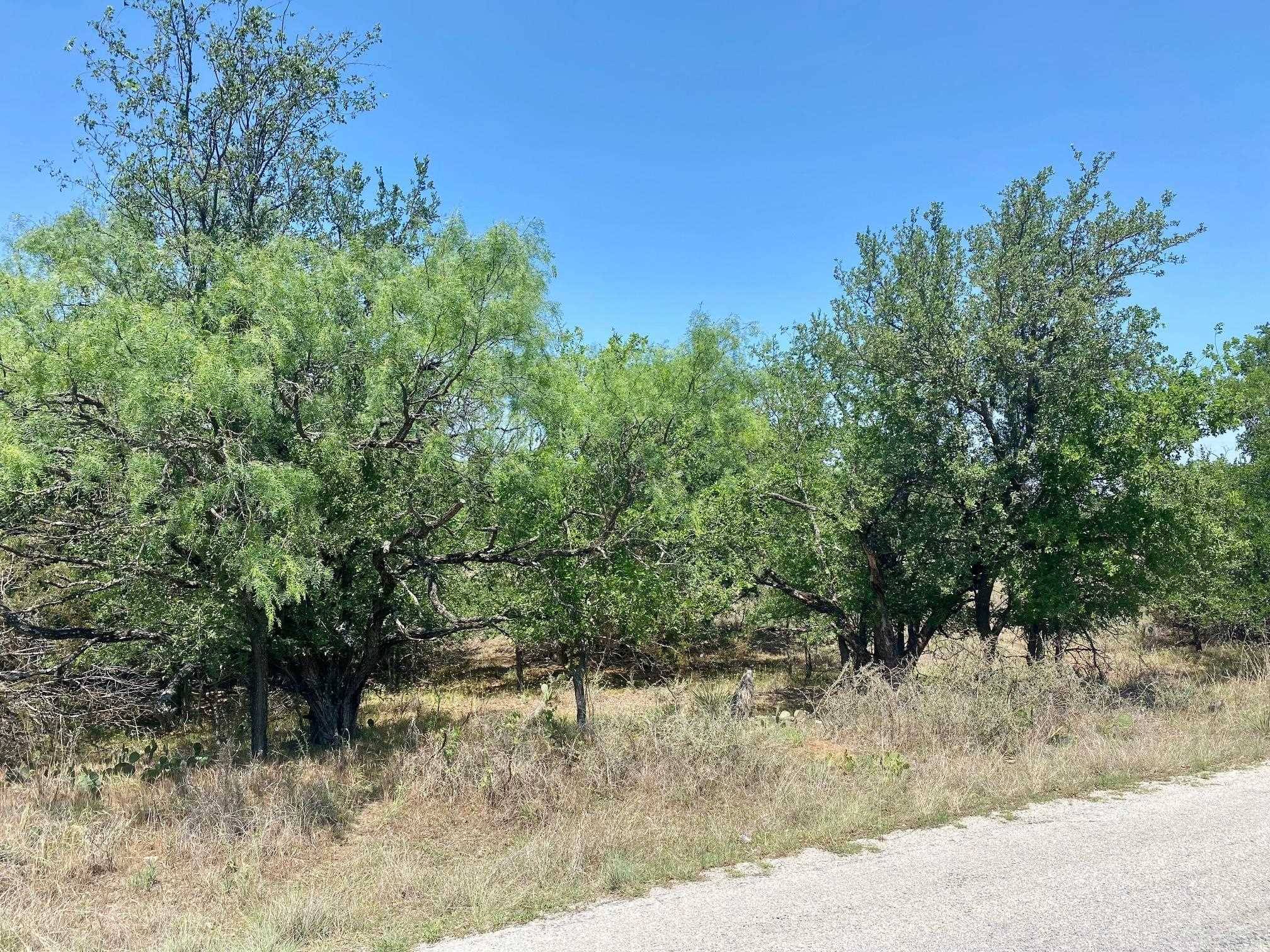 Kingsland, TX 78639,Lot 153 Concho TRL