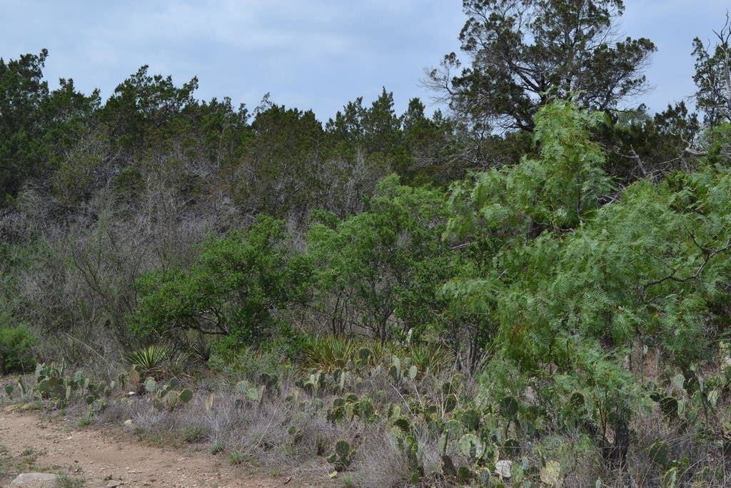 Burnet, TX 78611,Lot 5 & 7 Lunar DR