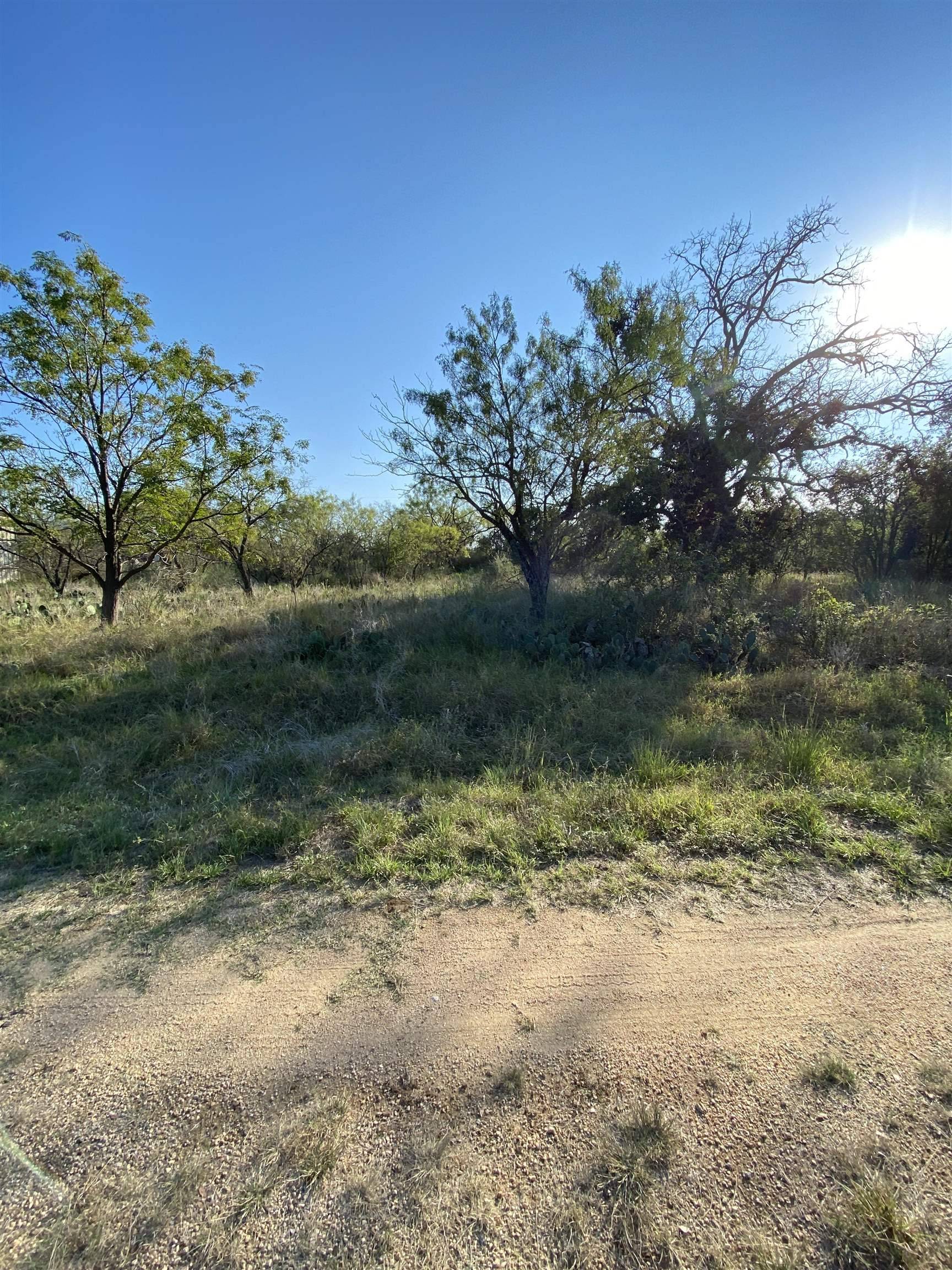 Granite Shoals, TX 78654,Lot 400 E Mesquite DR