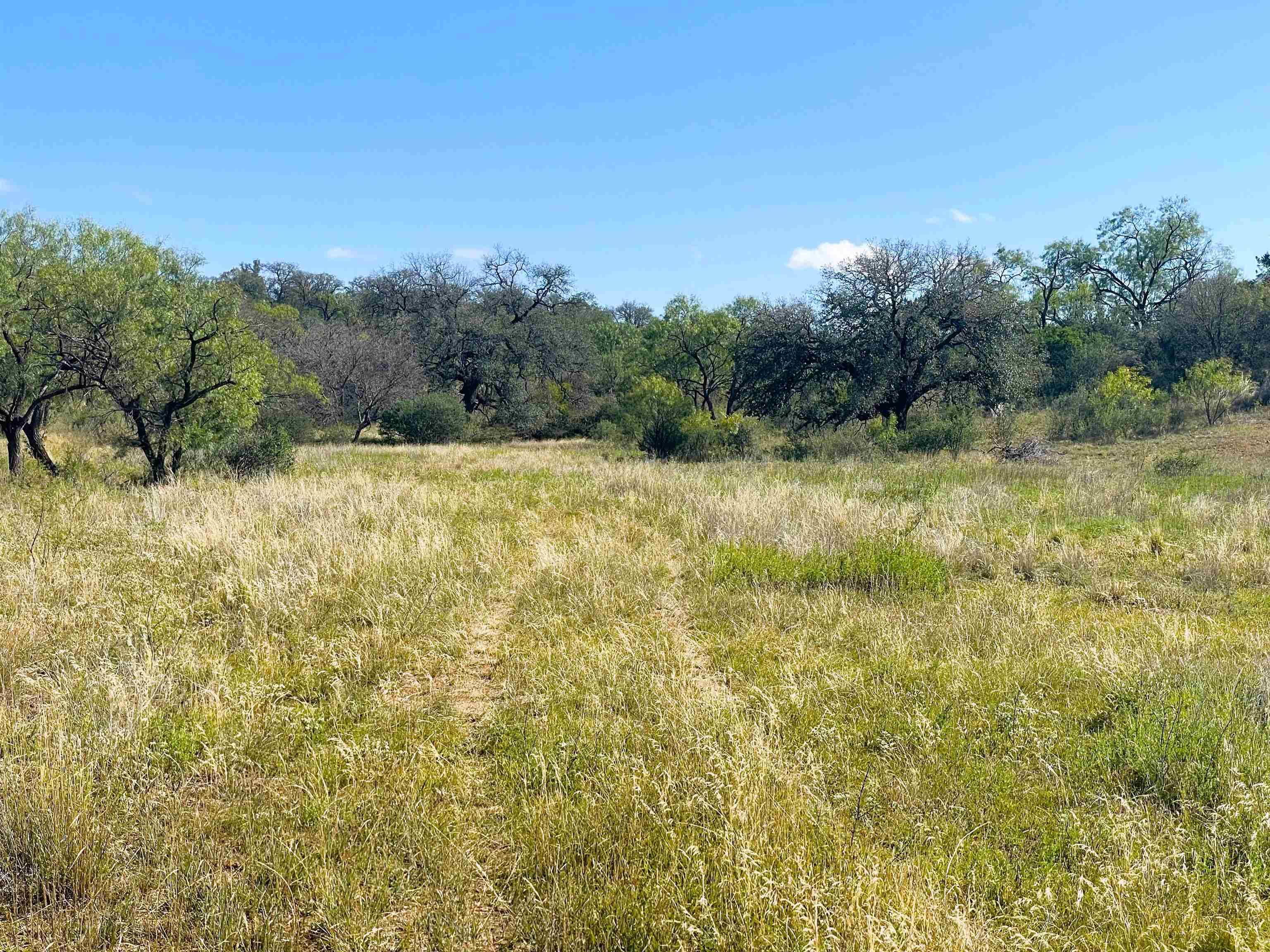 Llano, TX 78643,134 CR 117