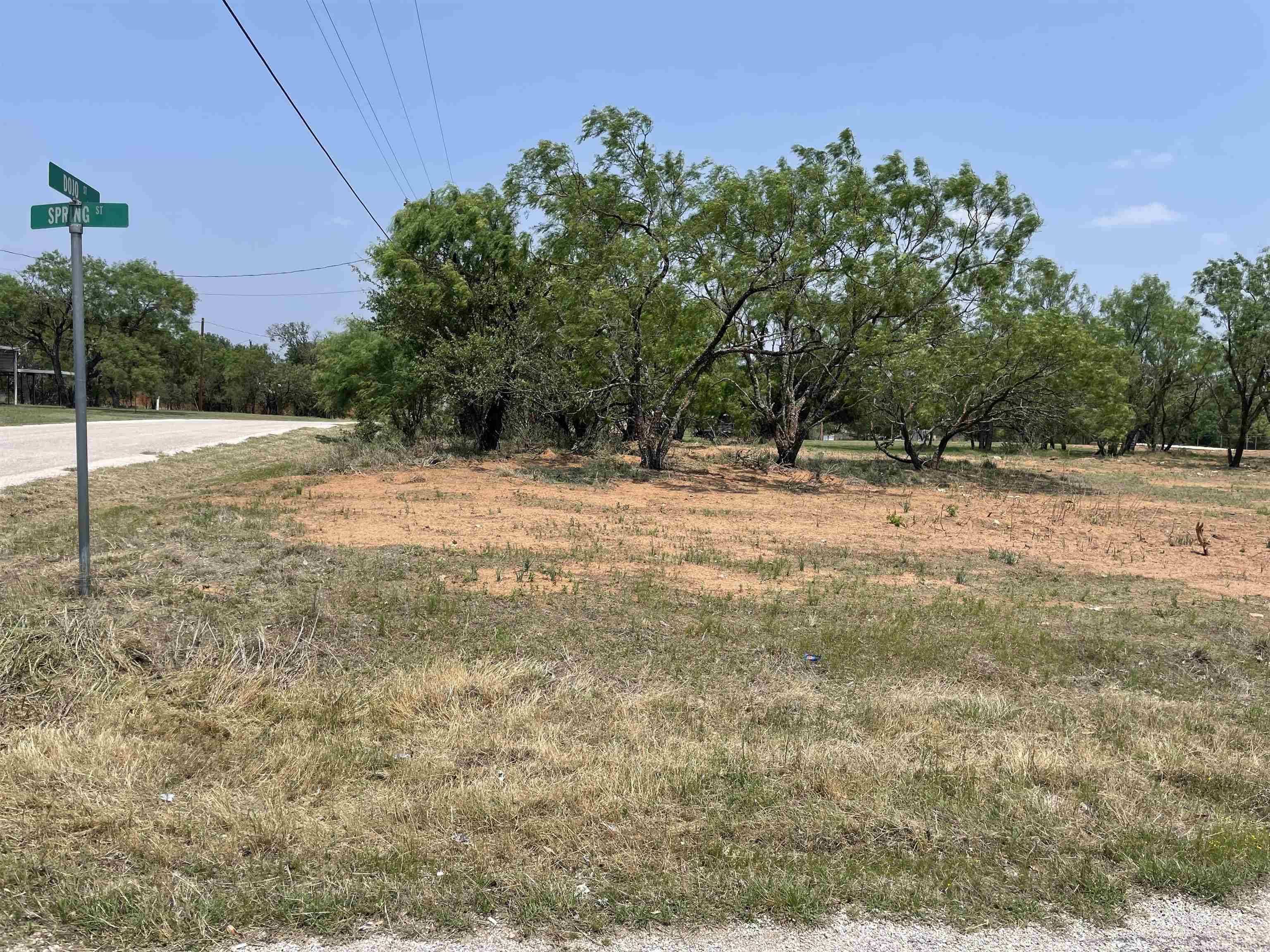 Tow, TX 78672,Lot 501 & 502 Spring/Dojo ST