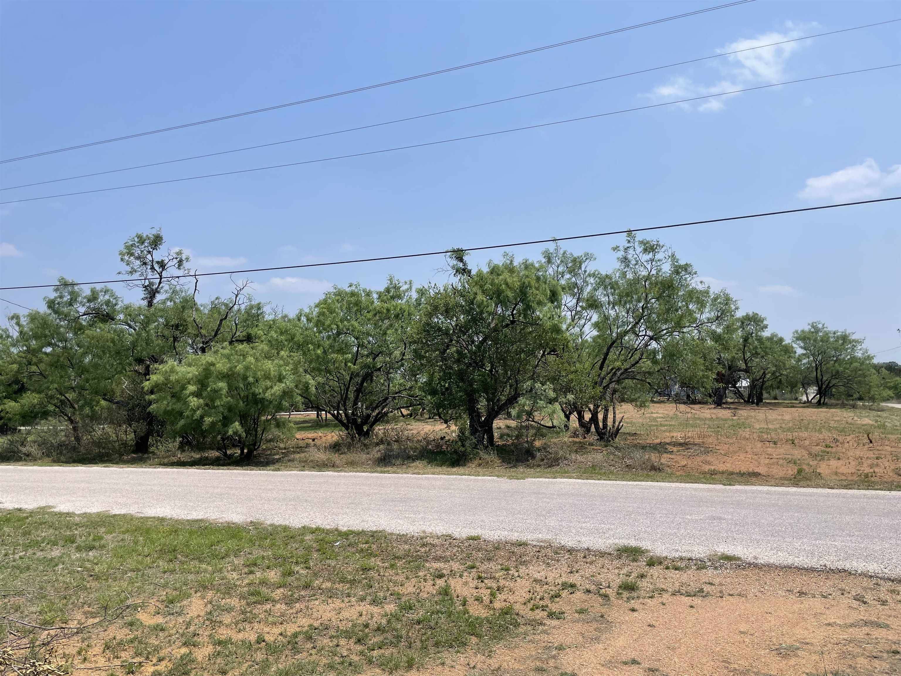 Tow, TX 78672,Lot 501 & 502 Spring/Dojo ST