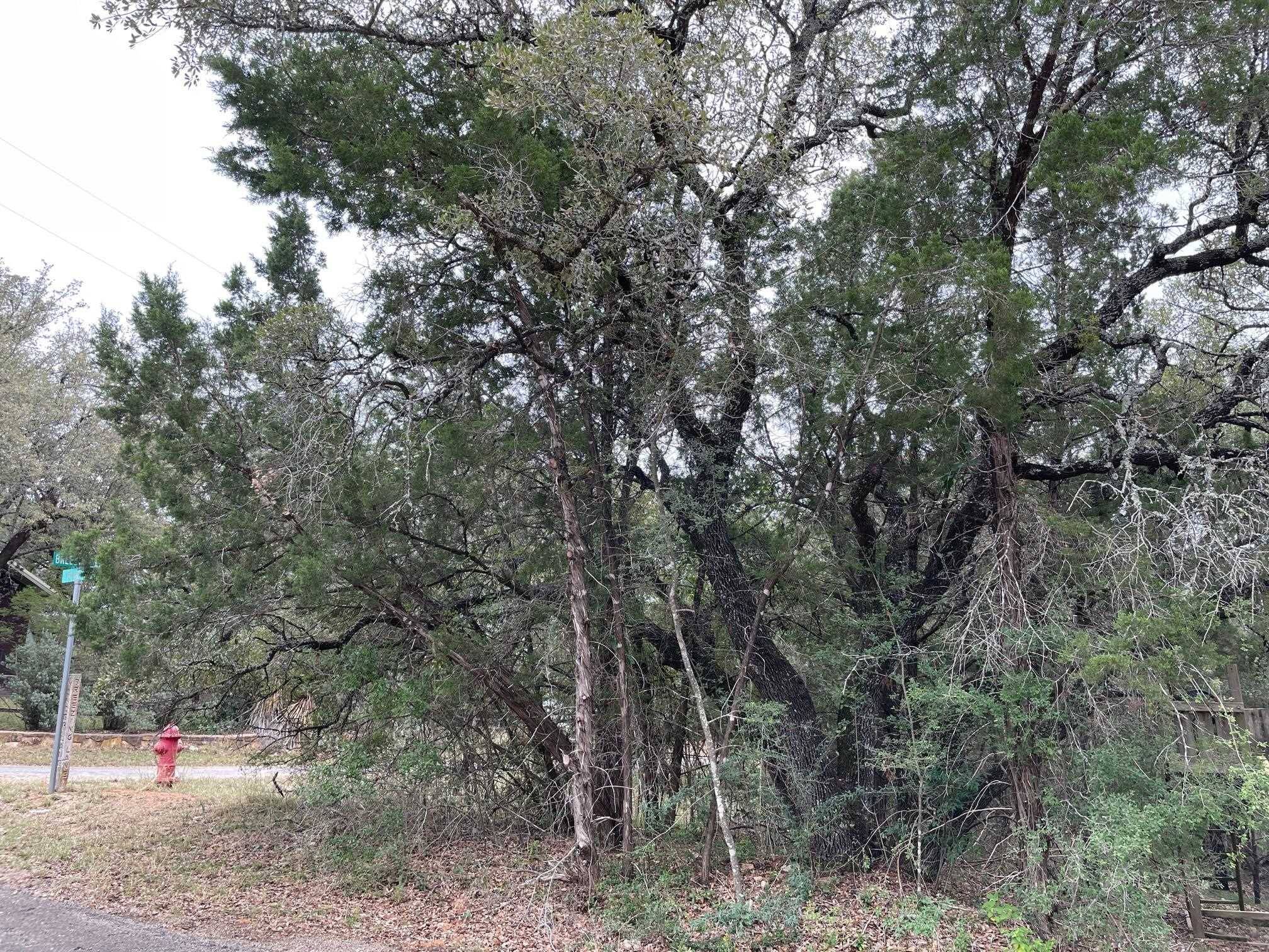 Spicewood, TX 78669,Lot 291 Yonder DR