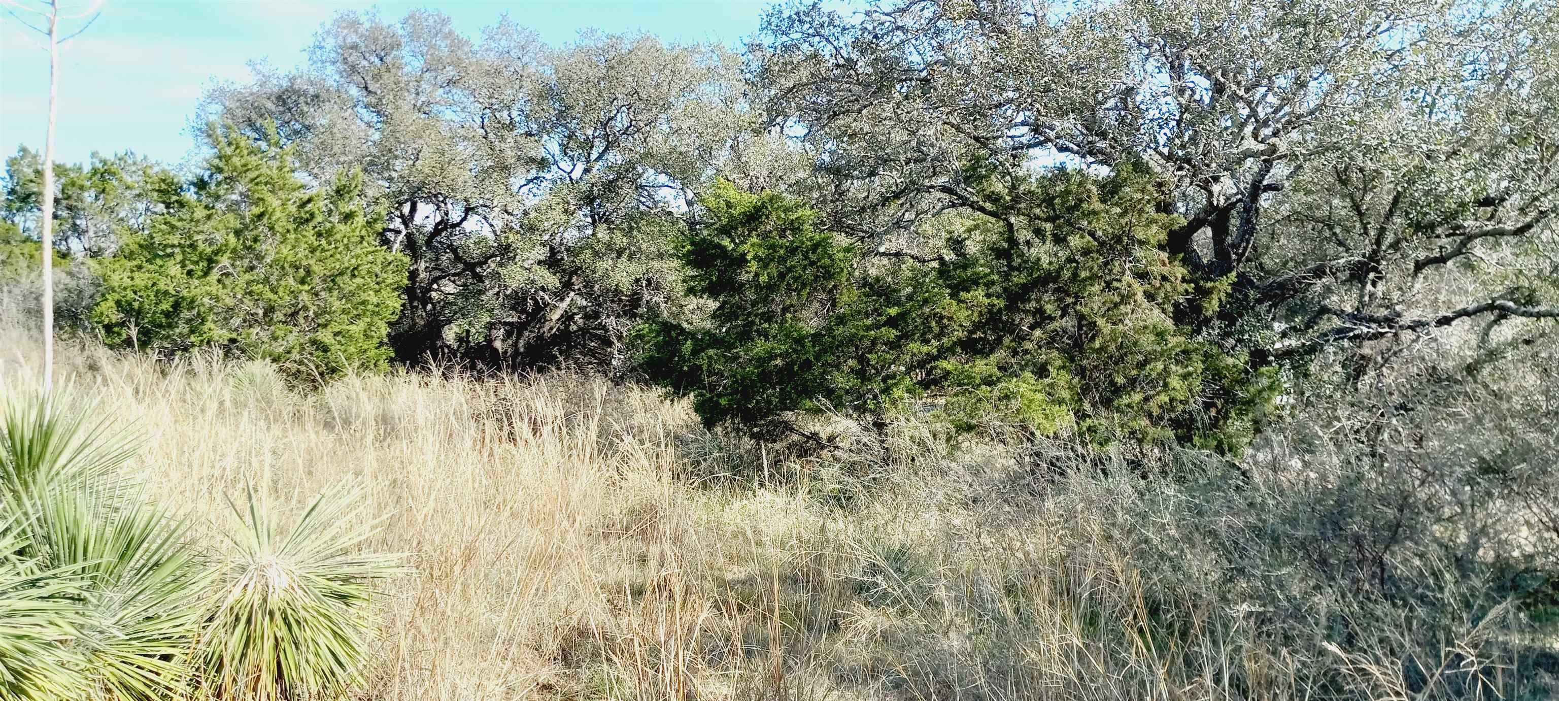 Kingsland, TX 78639,00 Bridle PATH