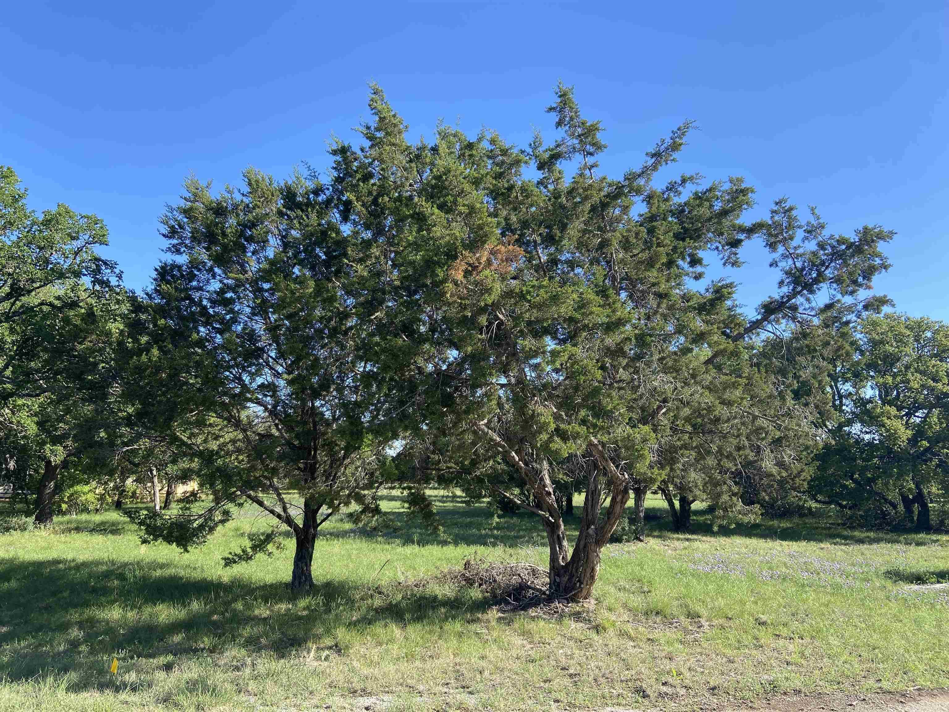 Horseshoe Bay, TX 78657,Lot 1101 Cap Rock