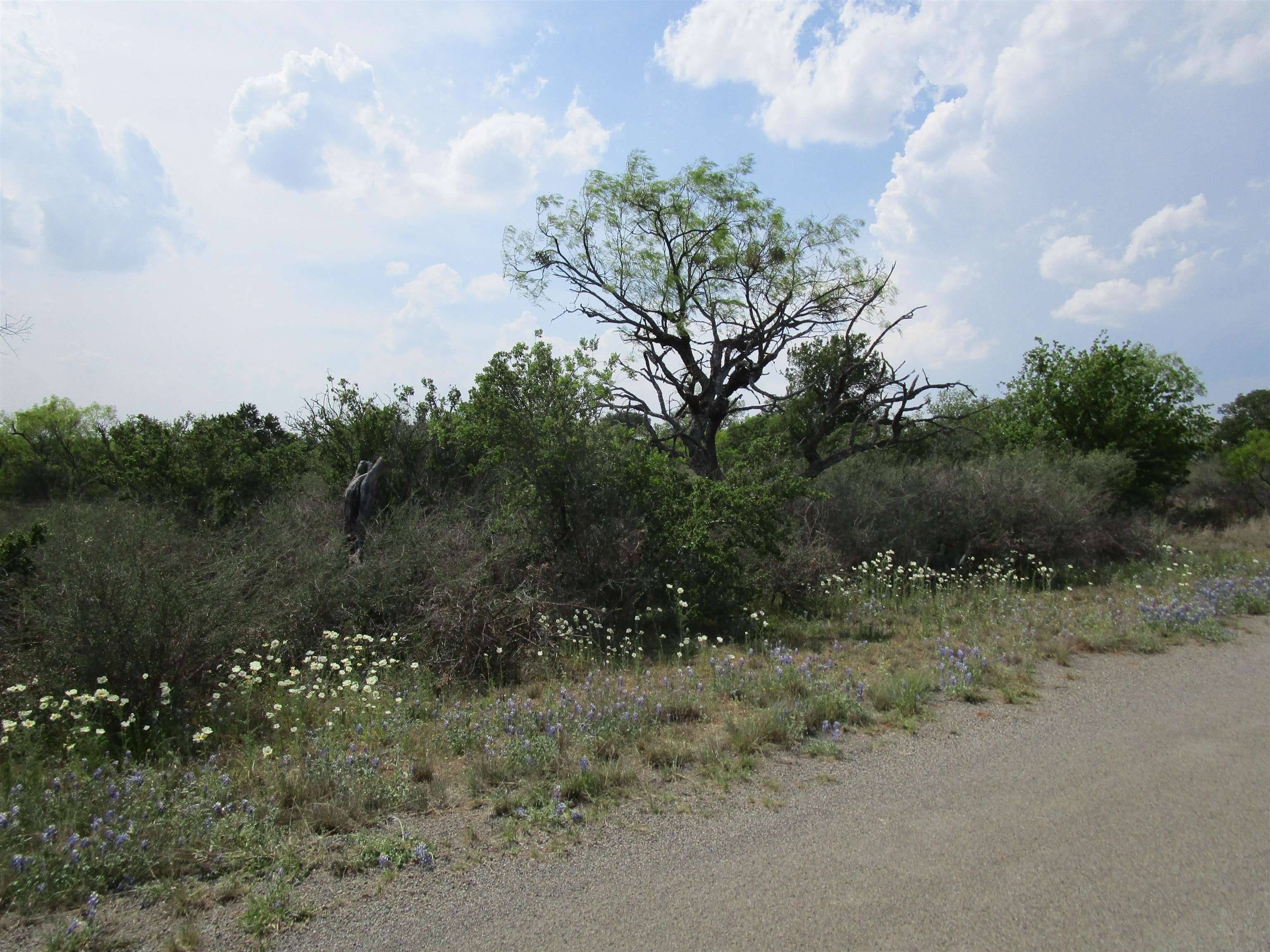 Llano, TX 78643,173 Desert Rose