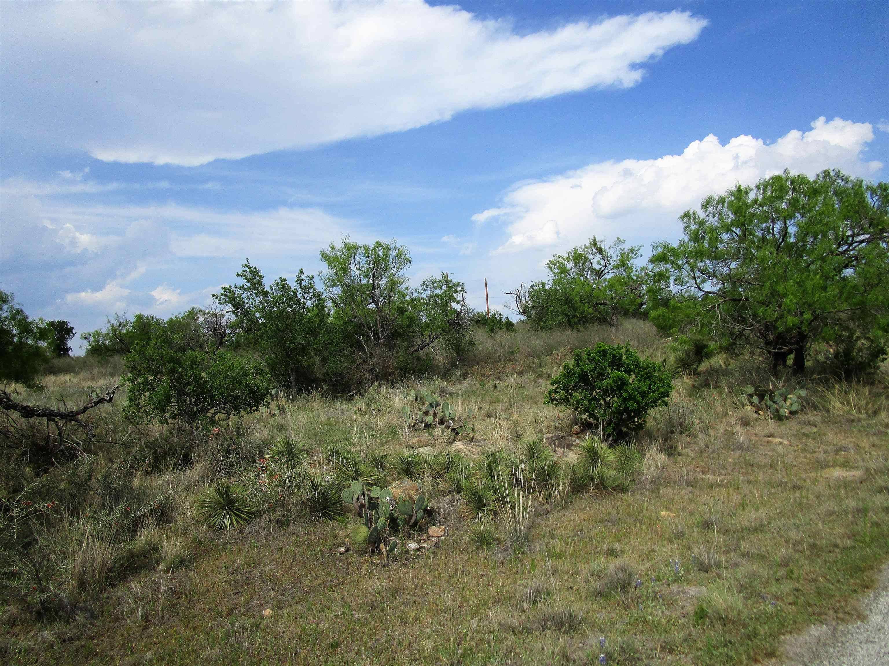 Llano, TX 78643,173 Desert Rose