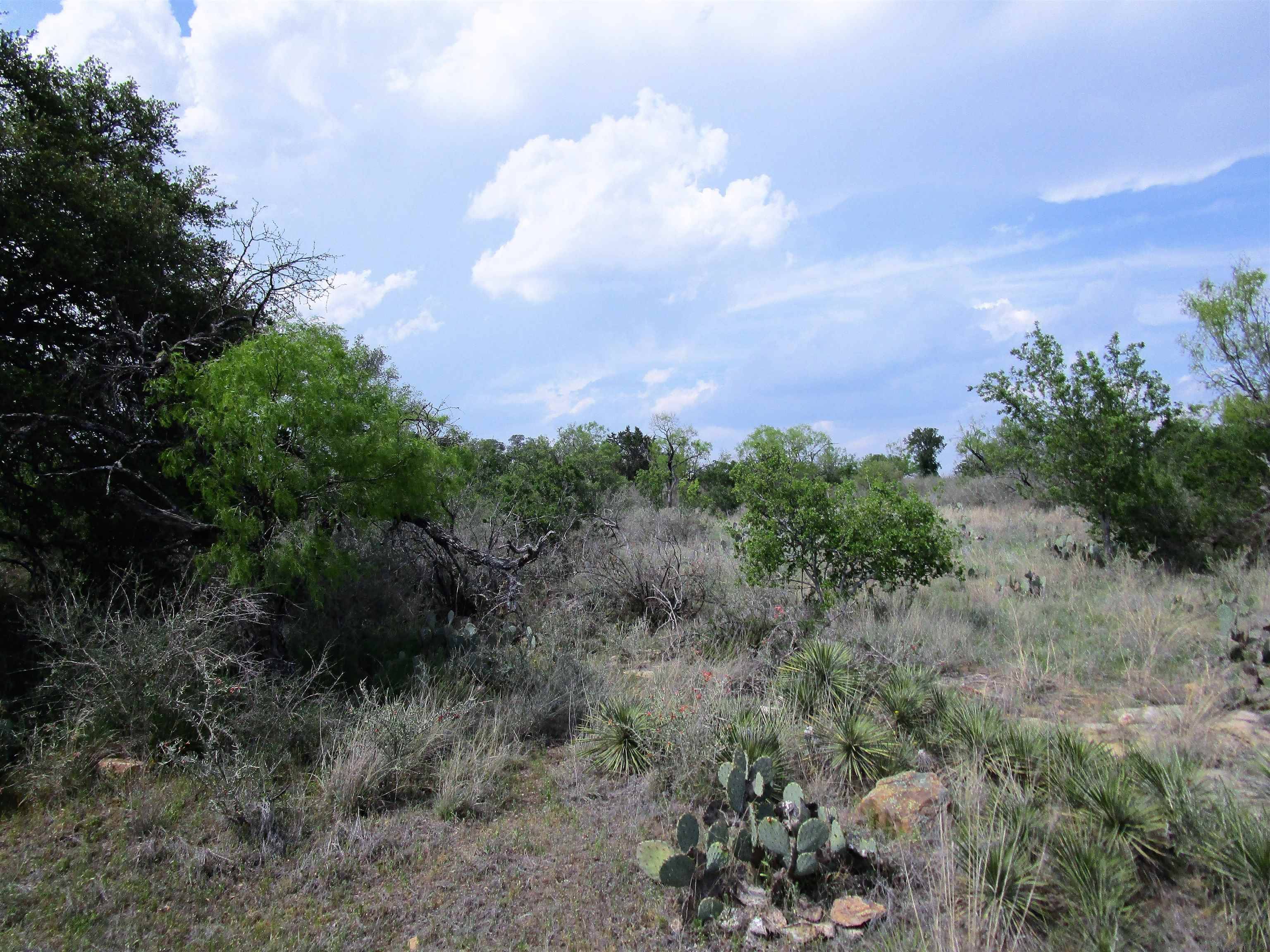 Llano, TX 78643,173 Desert Rose