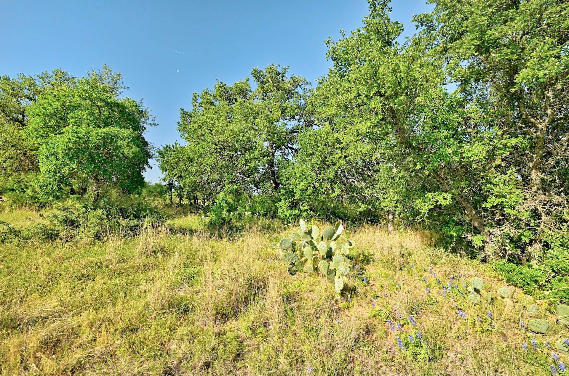 Buchanan Dam, TX 78609,TBD Tract 23&24 Lehne Loop