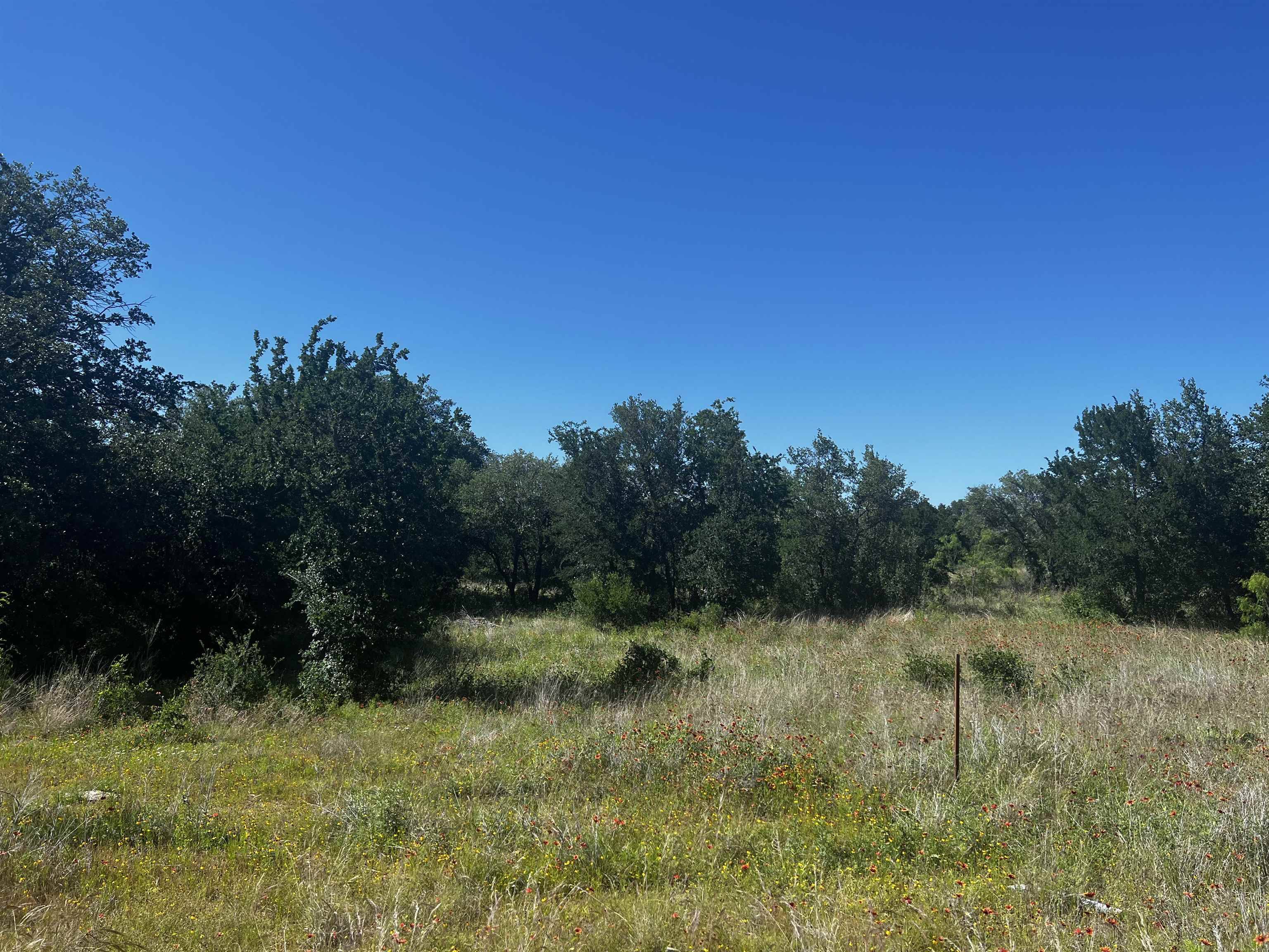 Buchanan Dam, TX 78609,Lot 24 Lehne Loop