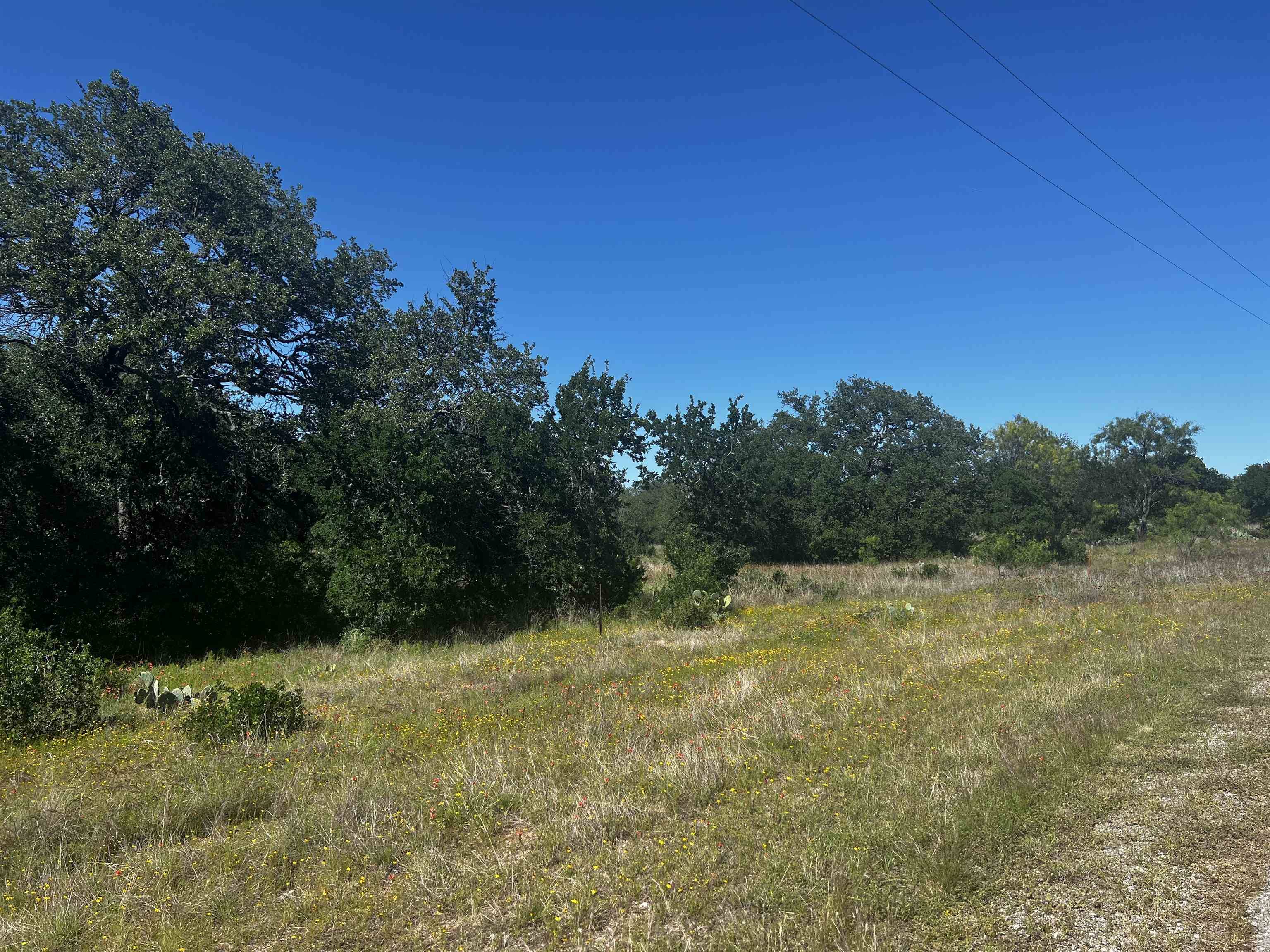 Buchanan Dam, TX 78609,Lot 24 Lehne Loop