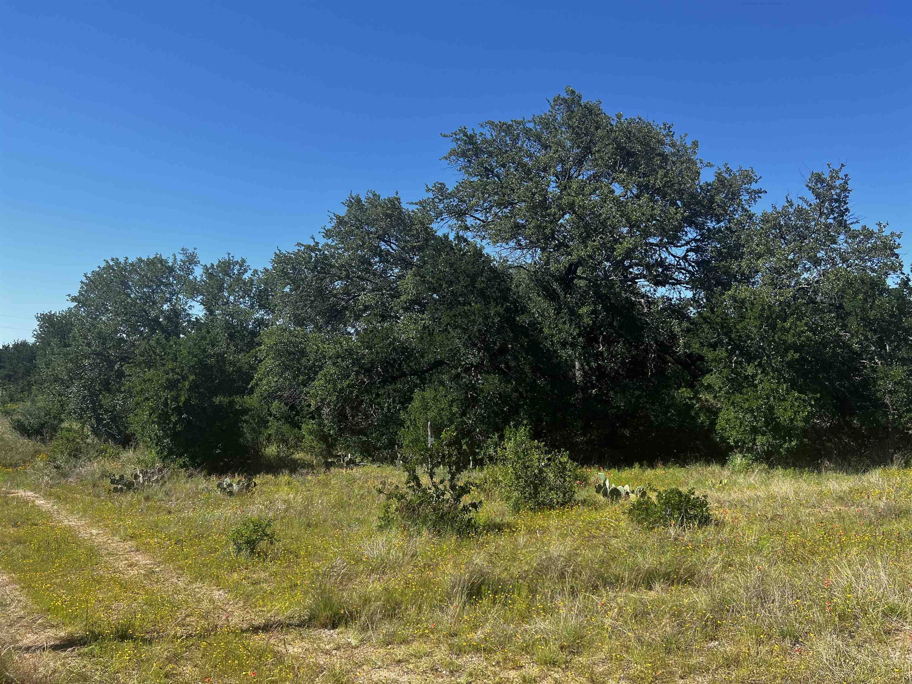 Buchanan Dam, TX 78609,Lot 24 Lehne Loop