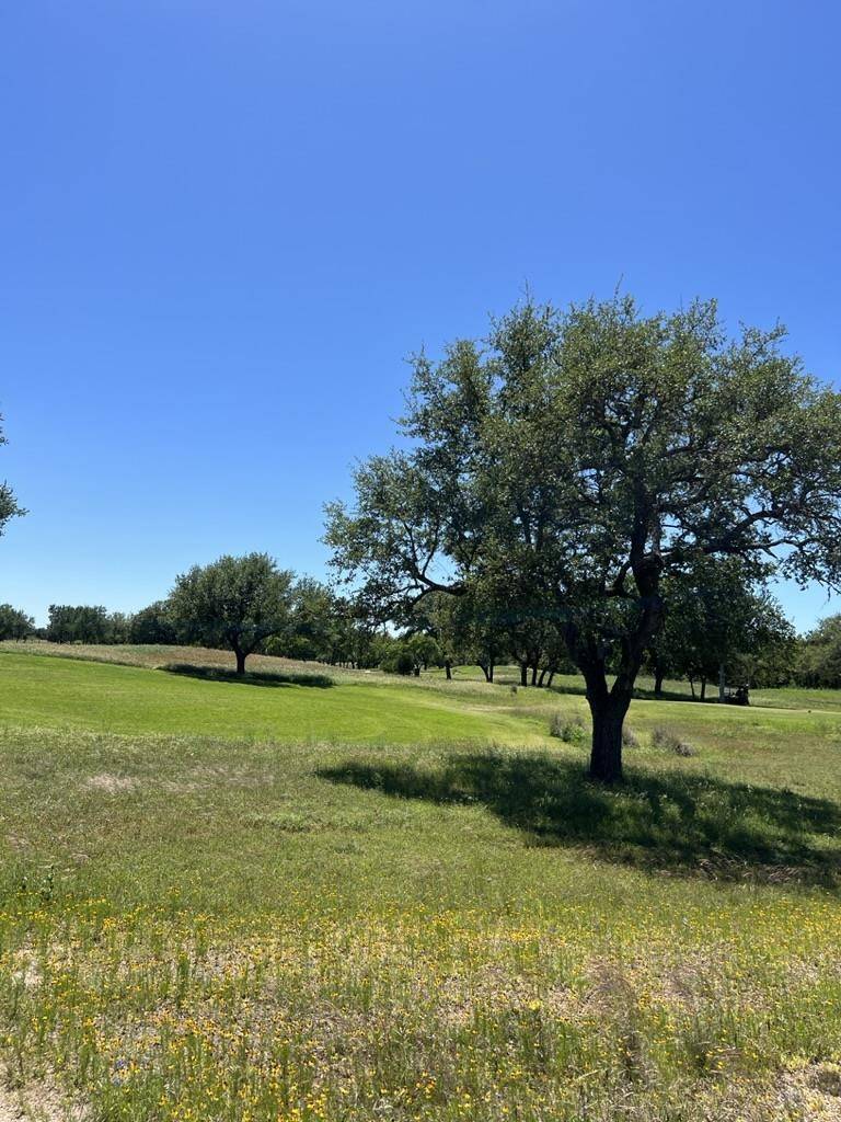 Horseshoe Bay, TX 78657,Escondido L 224 La Serena LOOP