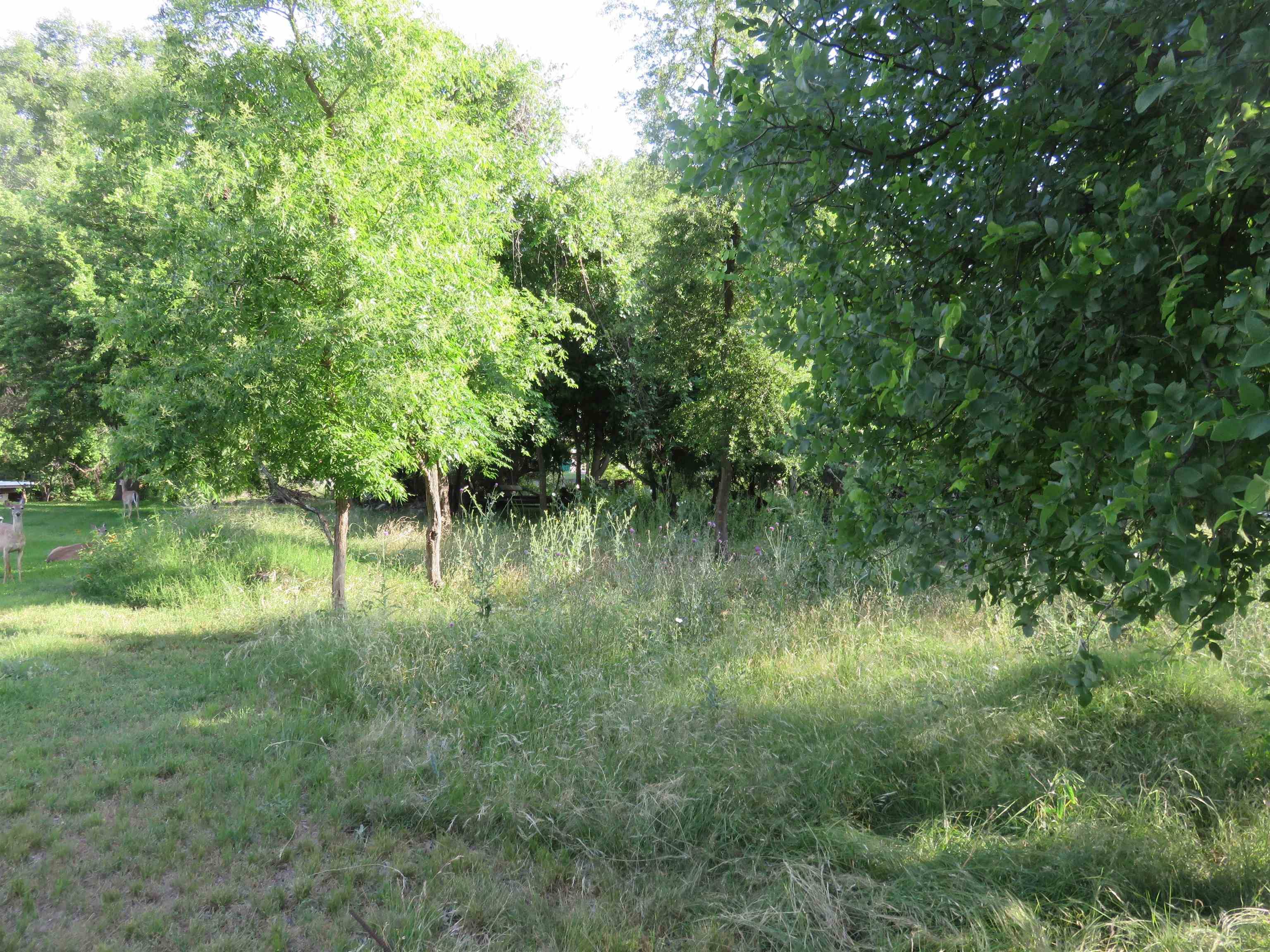 Sunrise Beach, TX 78643,Lot 145A Lakeview