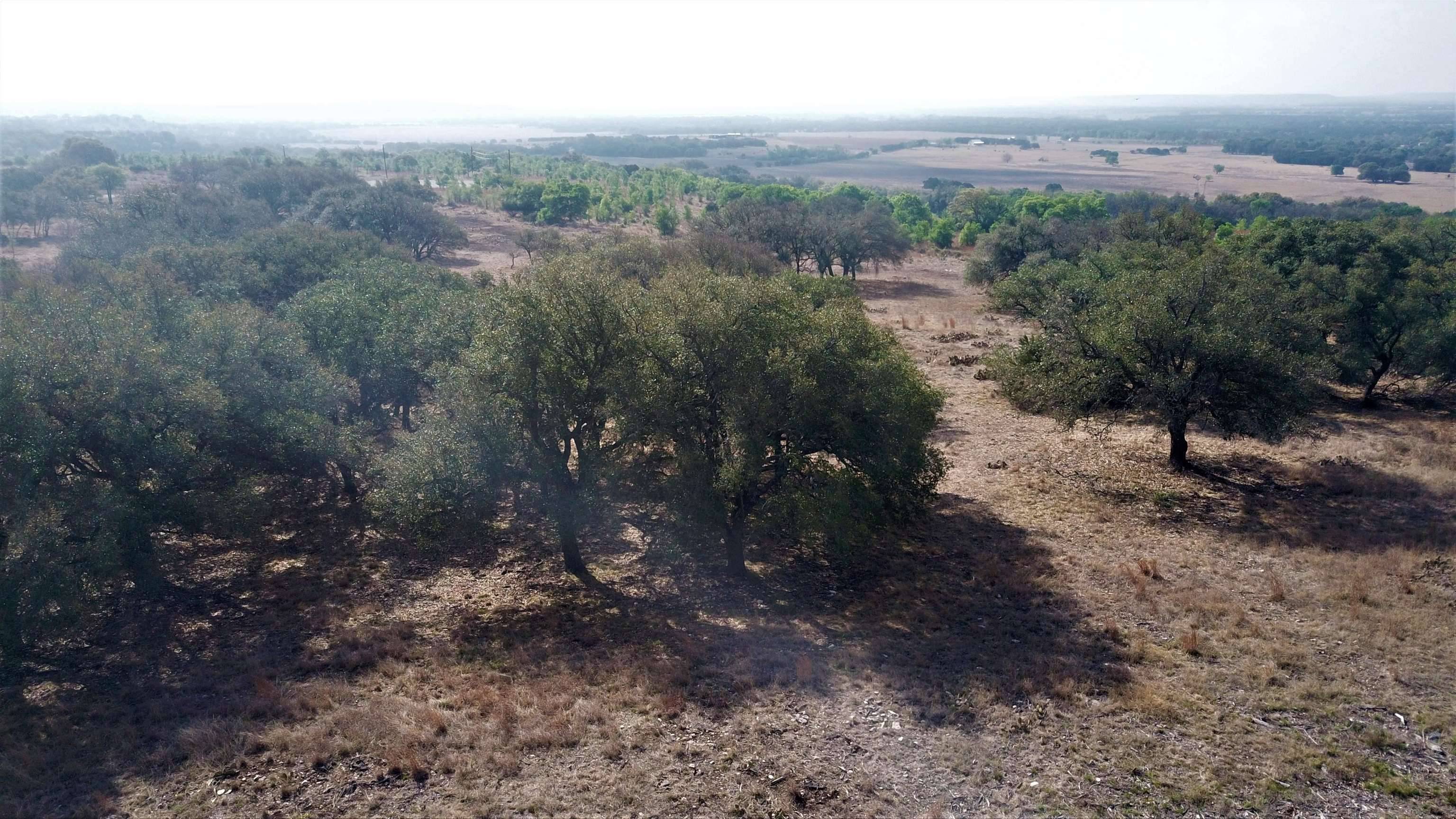 Lometa, TX 76550,Address not disclosed