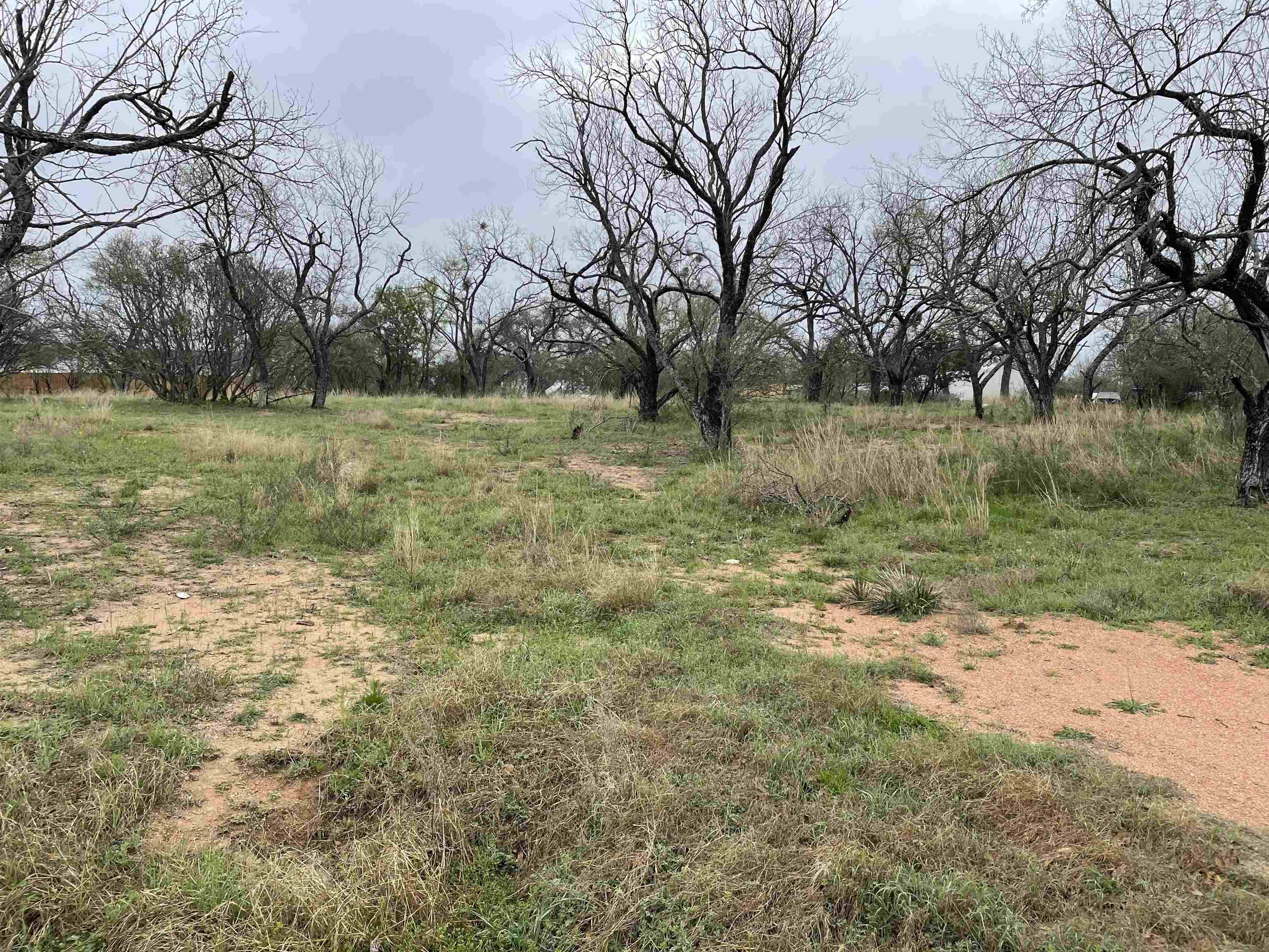 Kingsland, TX 78639,TBD Lot 3A Airway ST