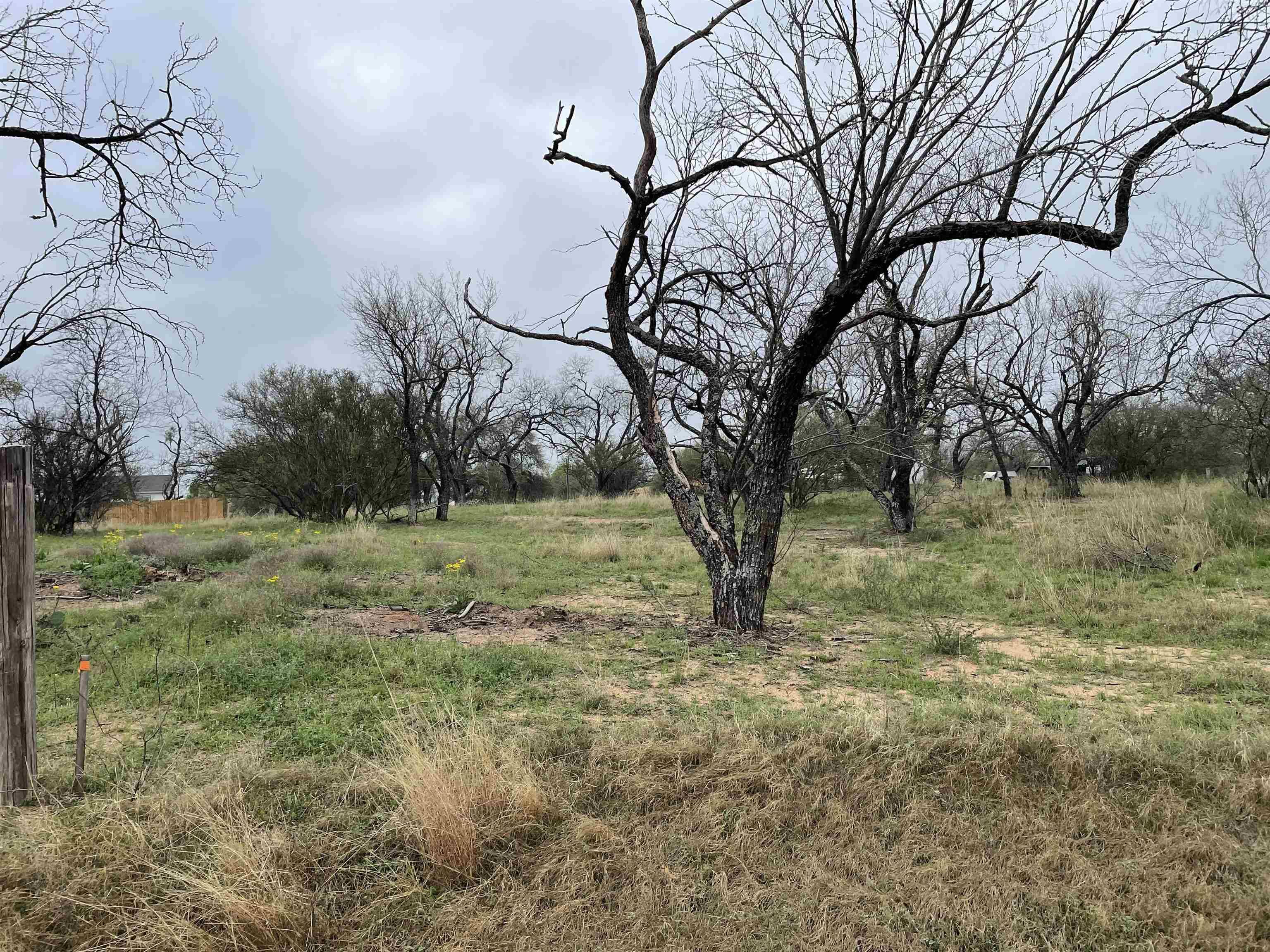 Kingsland, TX 78639,TBD Lot 3A Airway ST