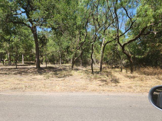 Granite Shoals, TX 78654,TBD Sherwood Forest DR